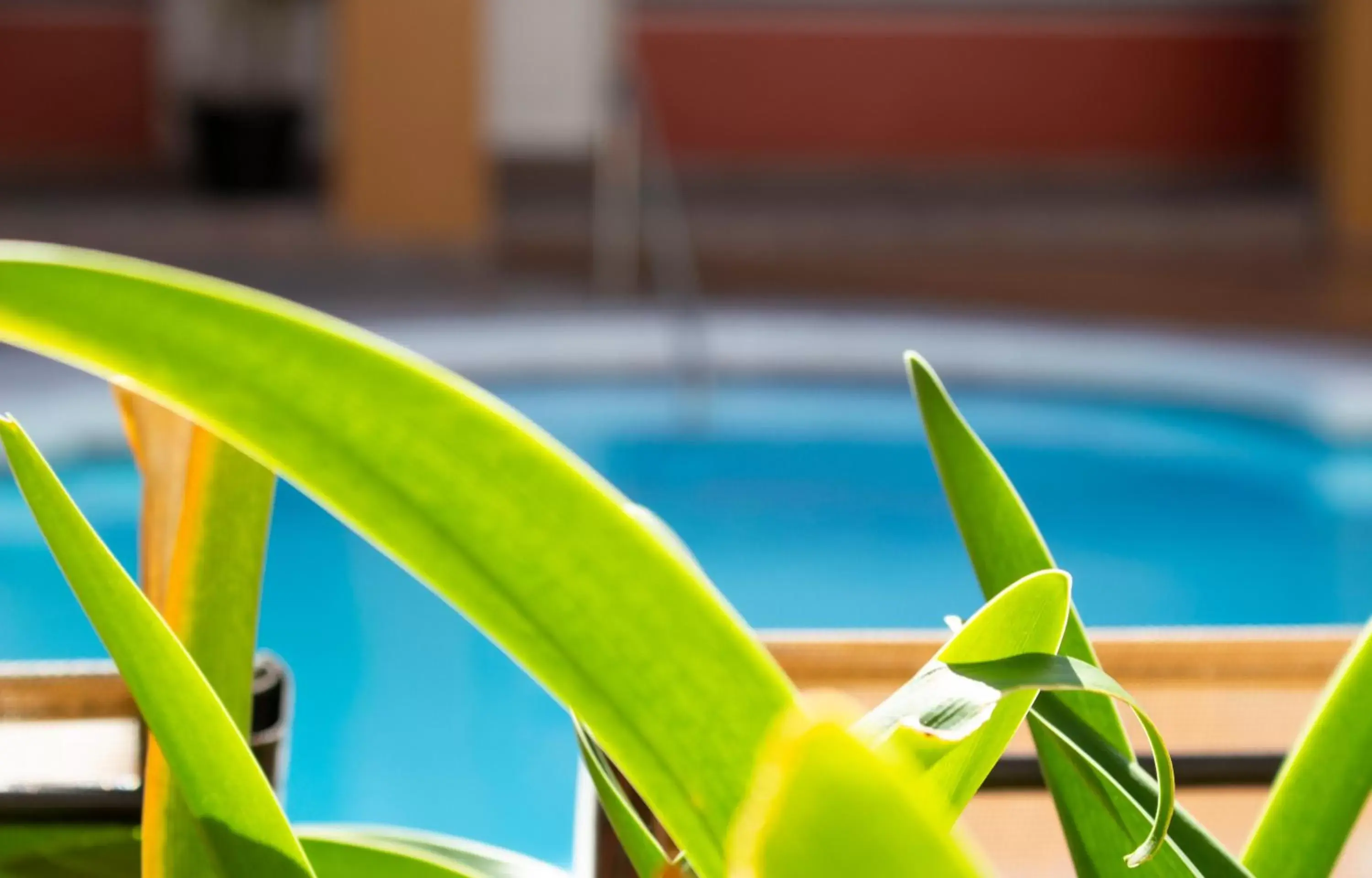 Swimming Pool in Del Mar Inn Playas