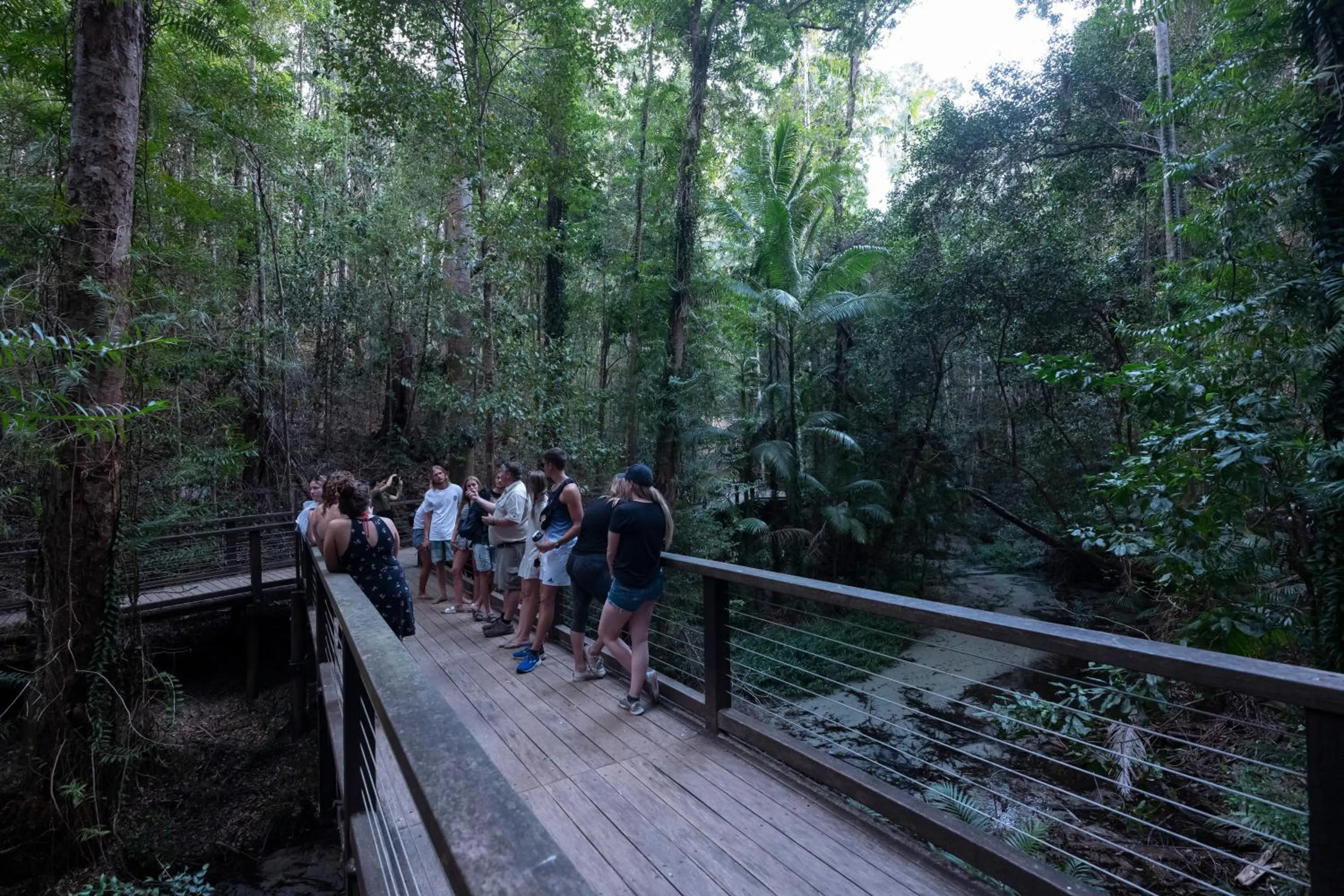 People in Colonial Village Resort