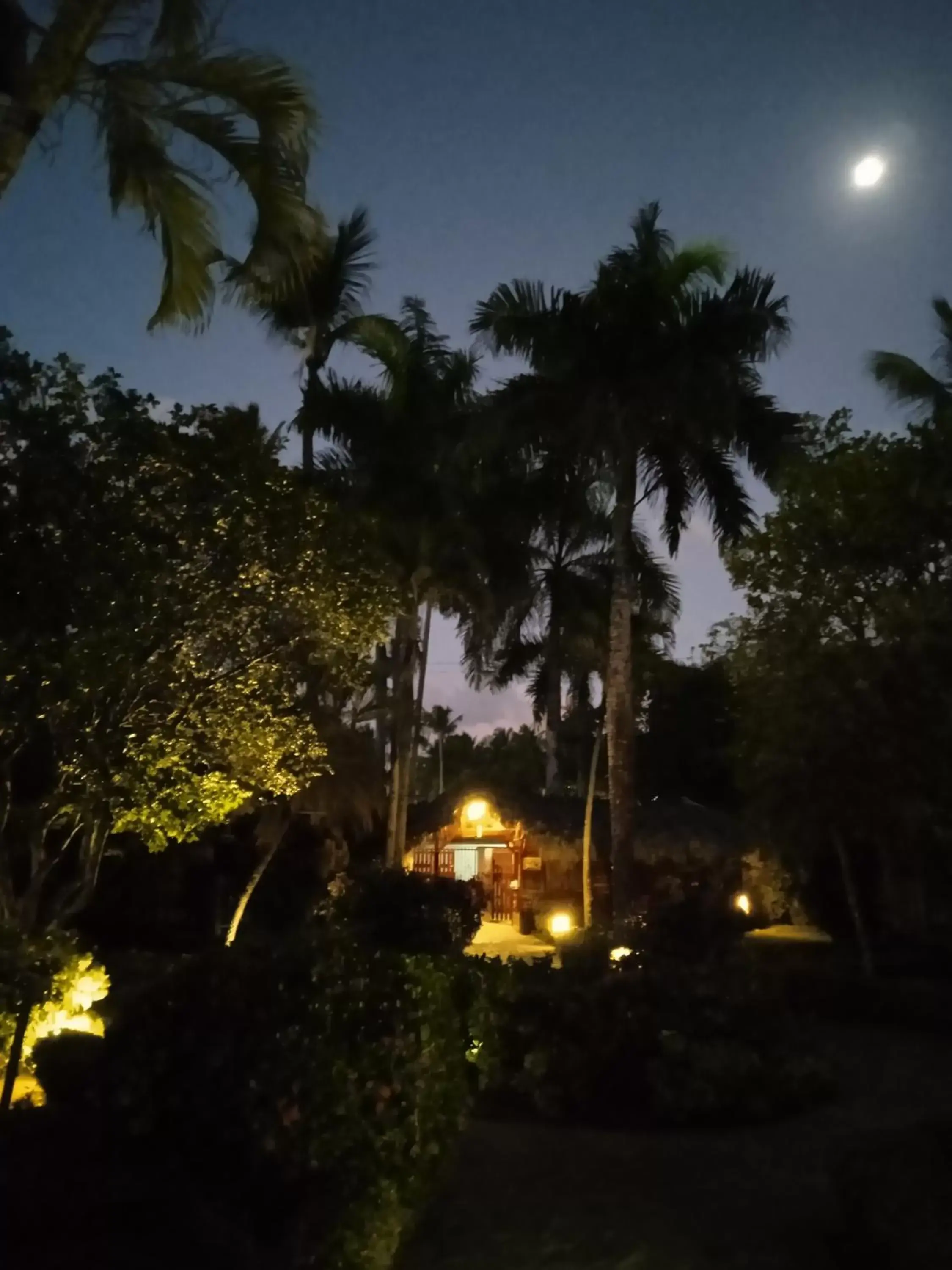 Sunset, Garden in Las Palmas Eco Residence