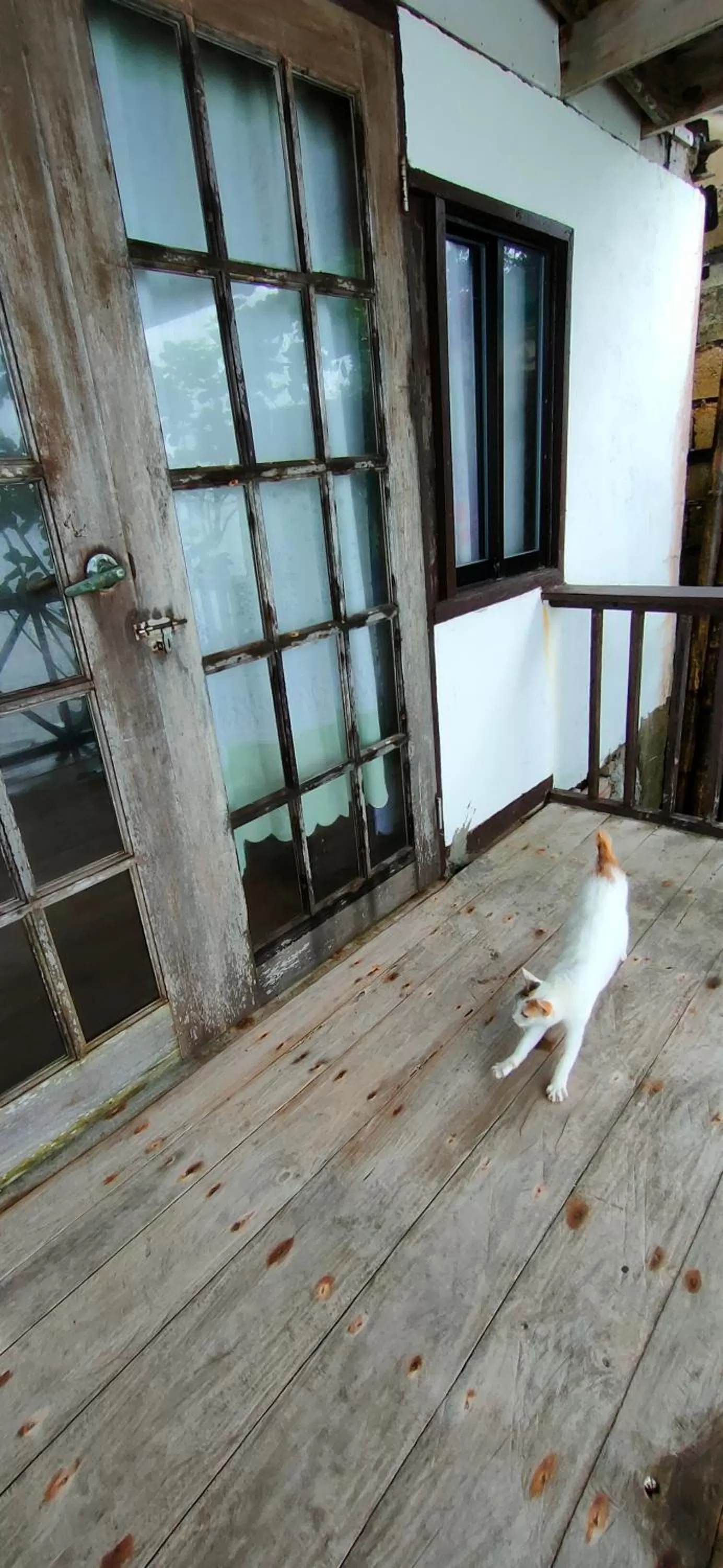 Property building in Paseo Del Mar Seaside Inn