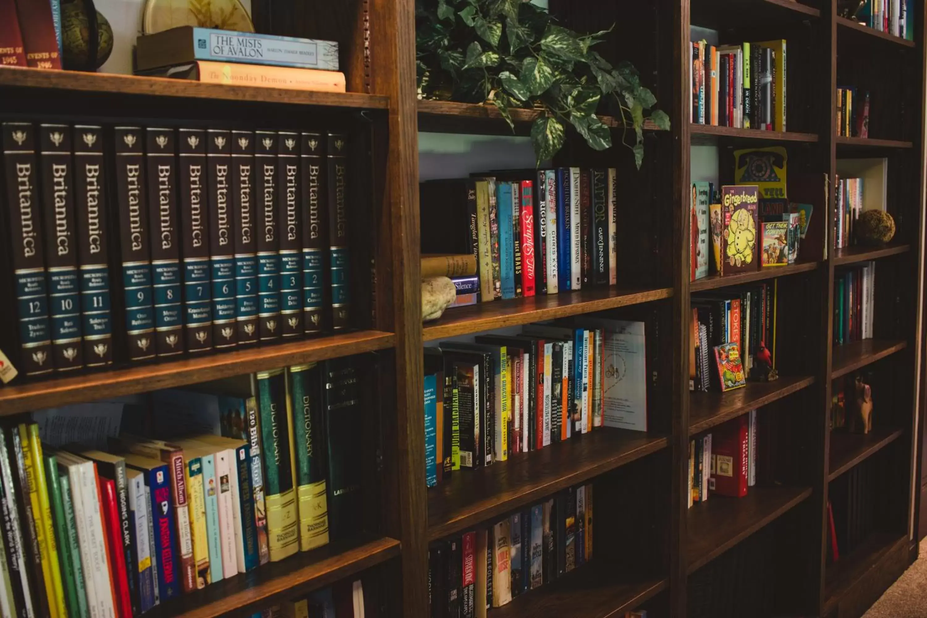 Library in Shane Acres Country Inn