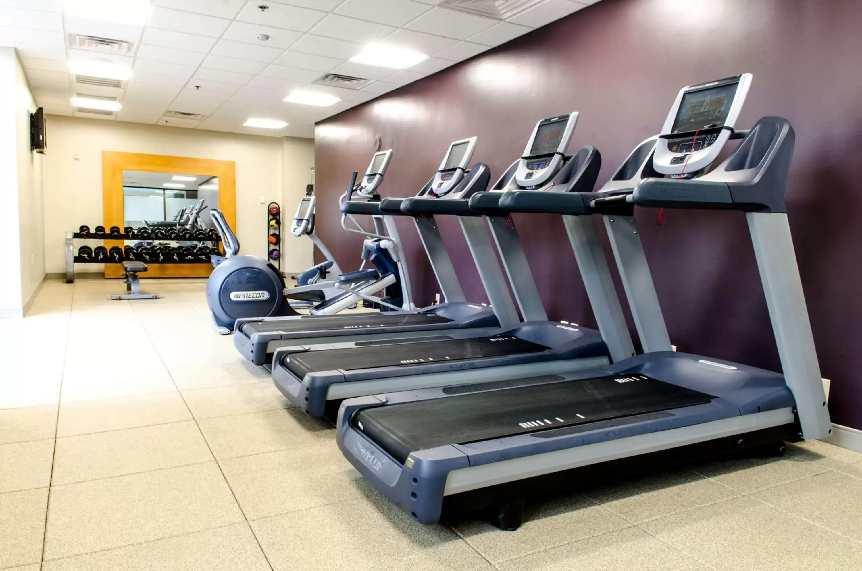 Fitness centre/facilities, Fitness Center/Facilities in Hilton Arlington