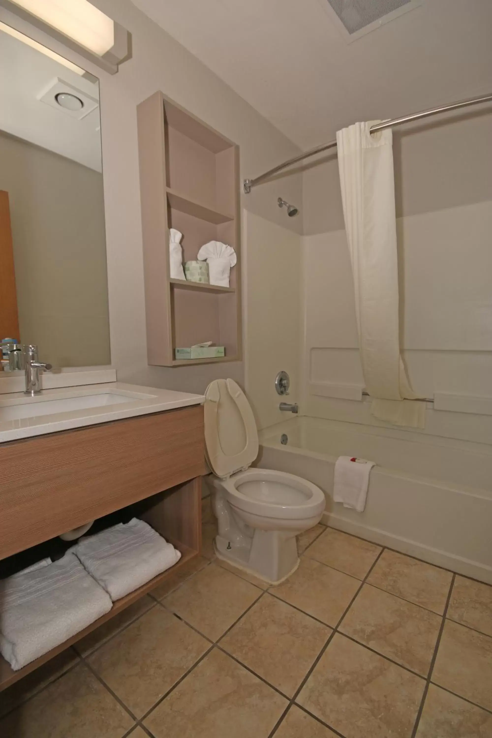 Bathroom in Microtel Inn by Wyndham Greensboro