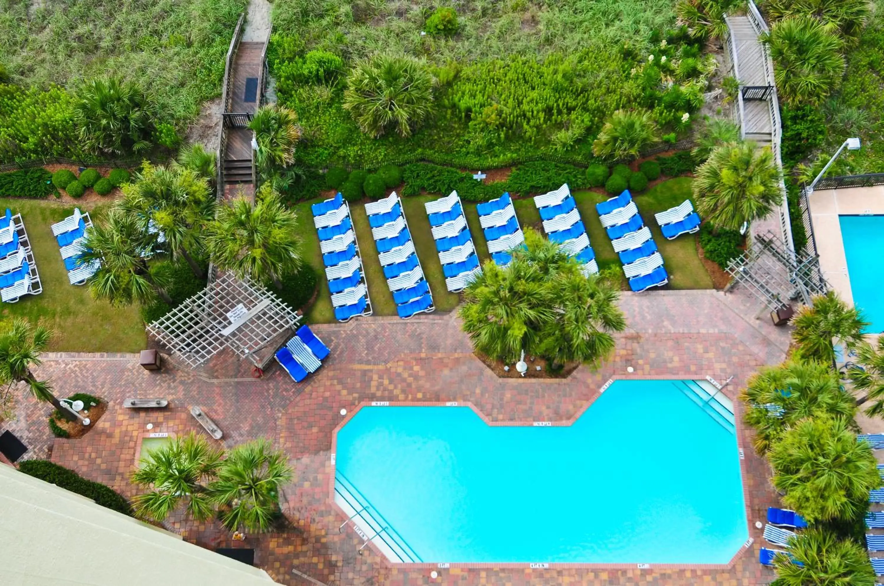 Pool View in Sea Crest Oceanfront Resort