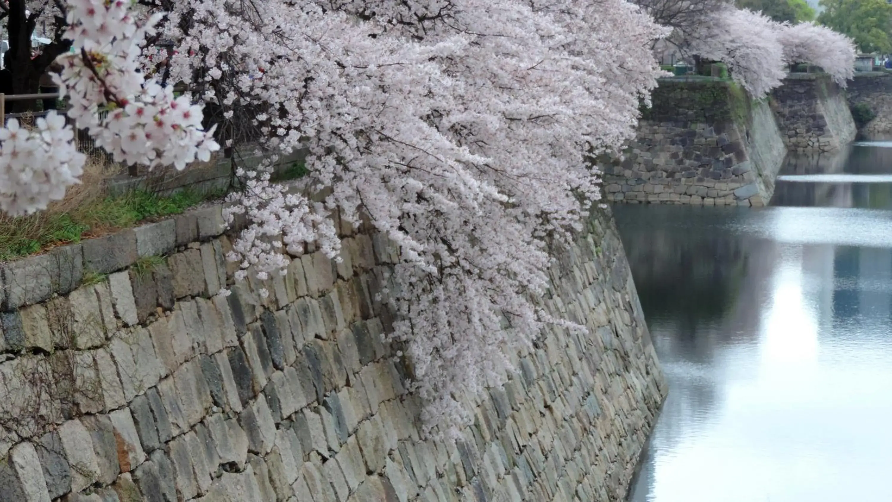 Nearby landmark in Hotel New Otani Osaka