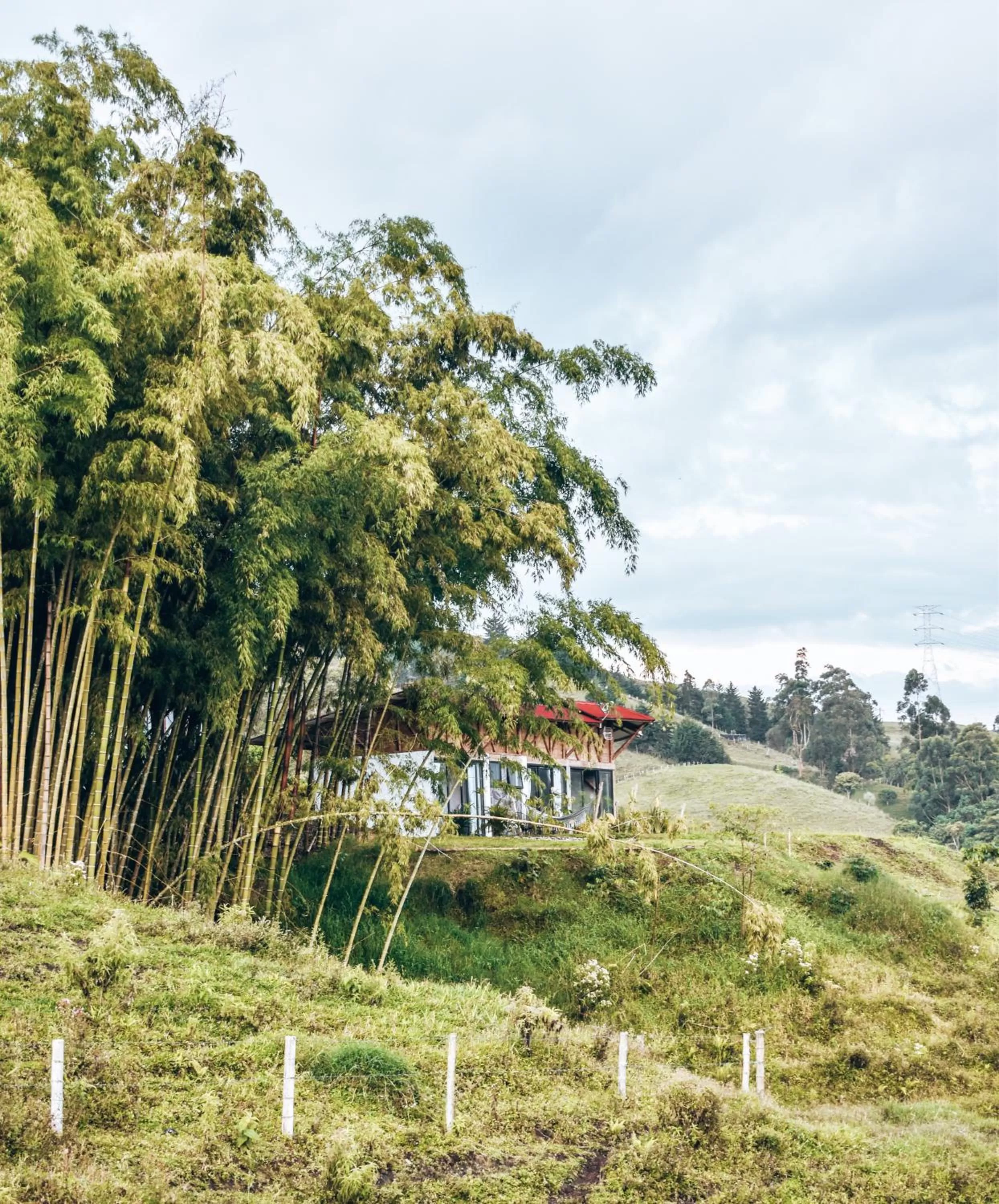Natural landscape in Ecohotel Monte Tierra Habitaciones y Glamping