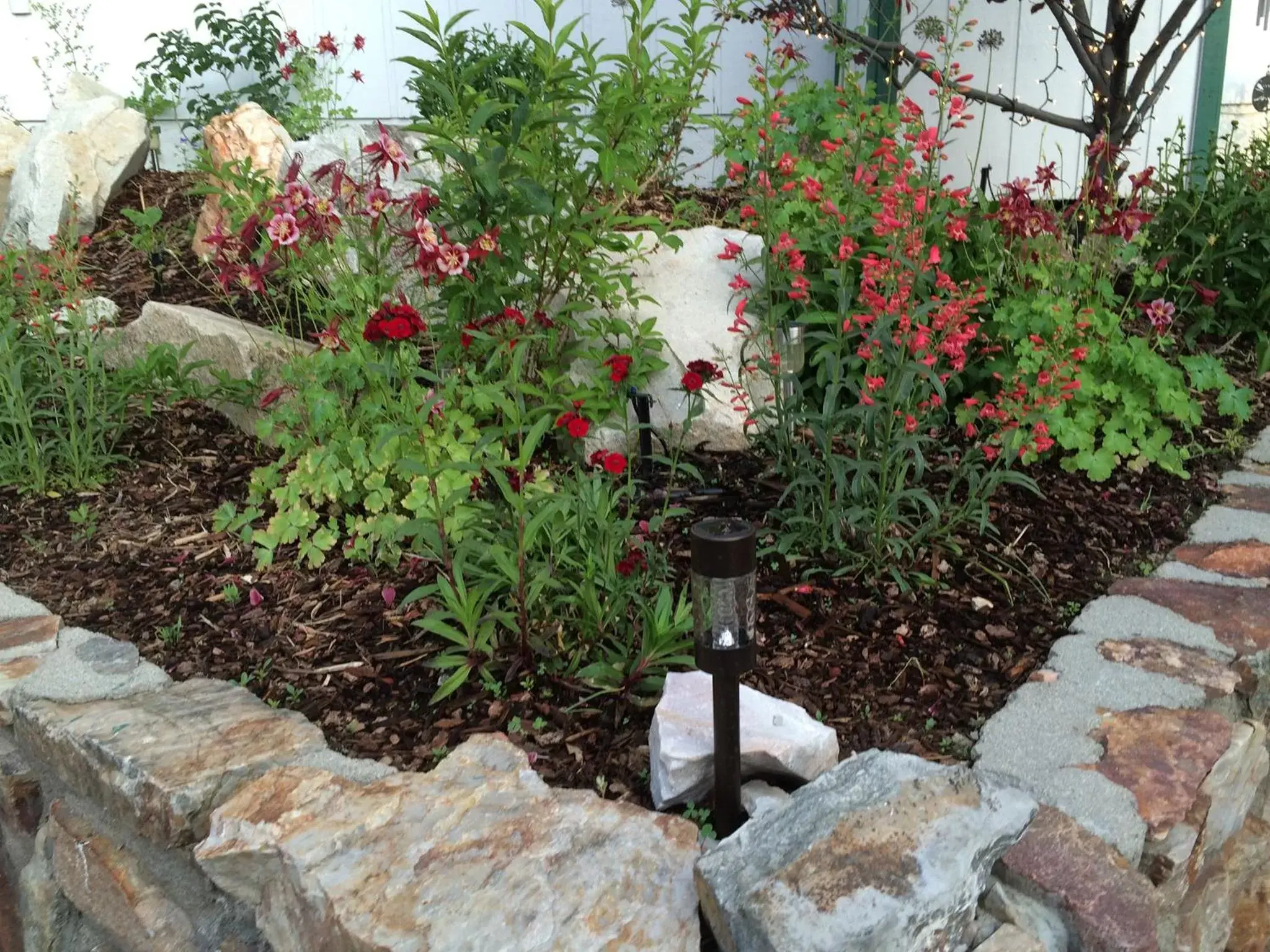 Garden in Hillcrest Suites & Cabins