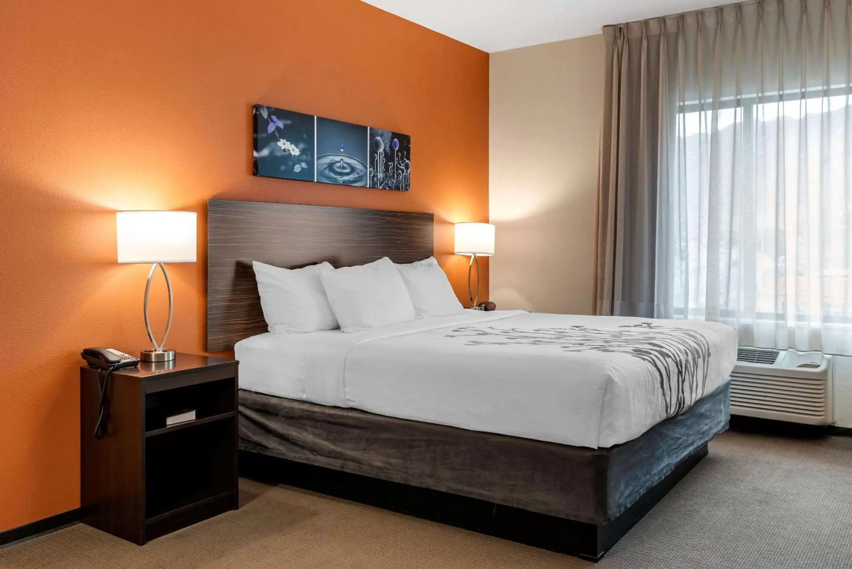 Photo of the whole room, Bed in Sleep Inn & Suites Moab near Arches National Park Photo of the whole room, Bed in Sleep Inn & Suites Moab near Arches National Park