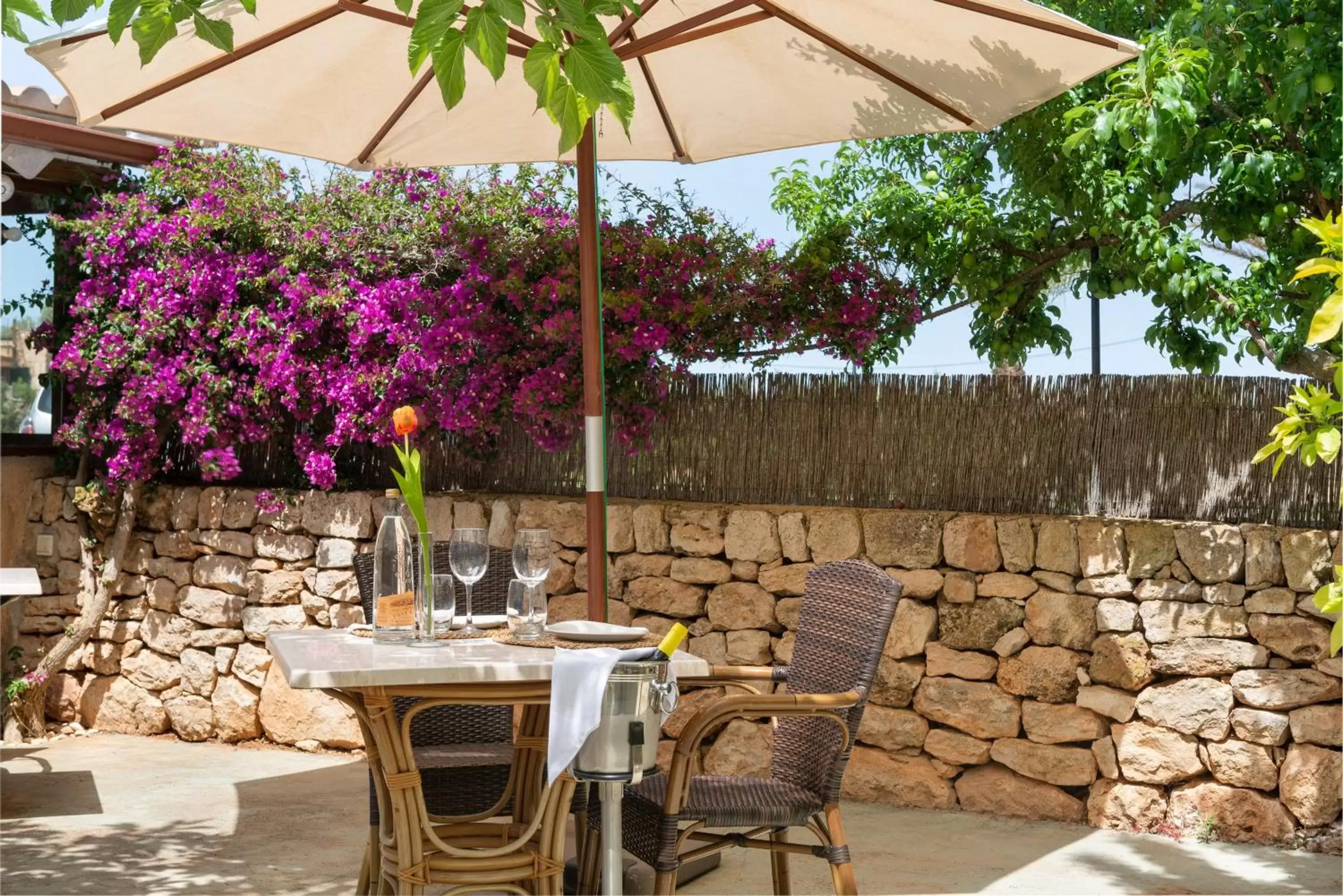 Restaurant/places to eat in Finca Hotel Can Canals & Spa Restaurant/places to eat in Finca Hotel Can Canals & Spa