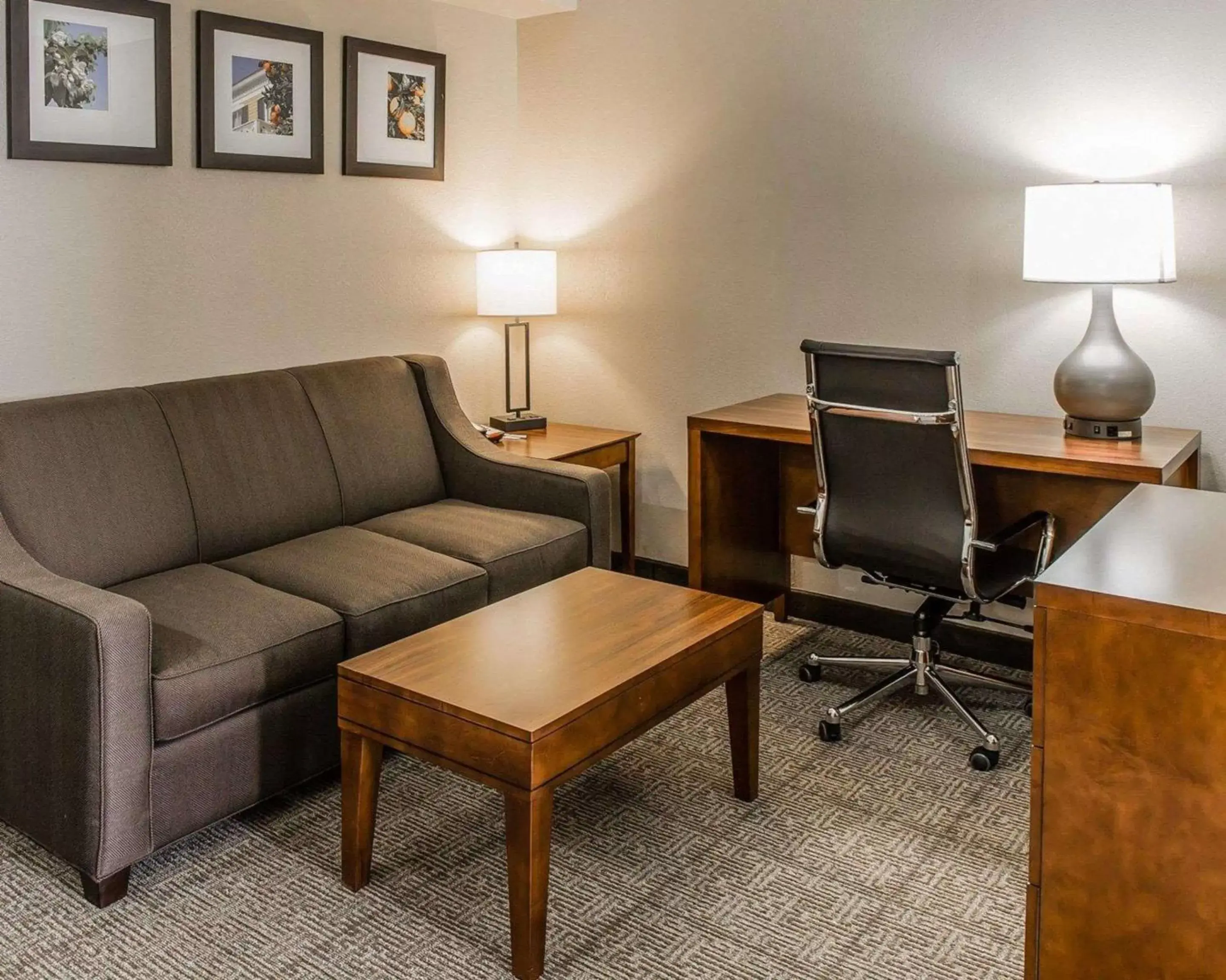 Photo of the whole room, Seating Area in Comfort Inn & Suites Lakeland North I-4