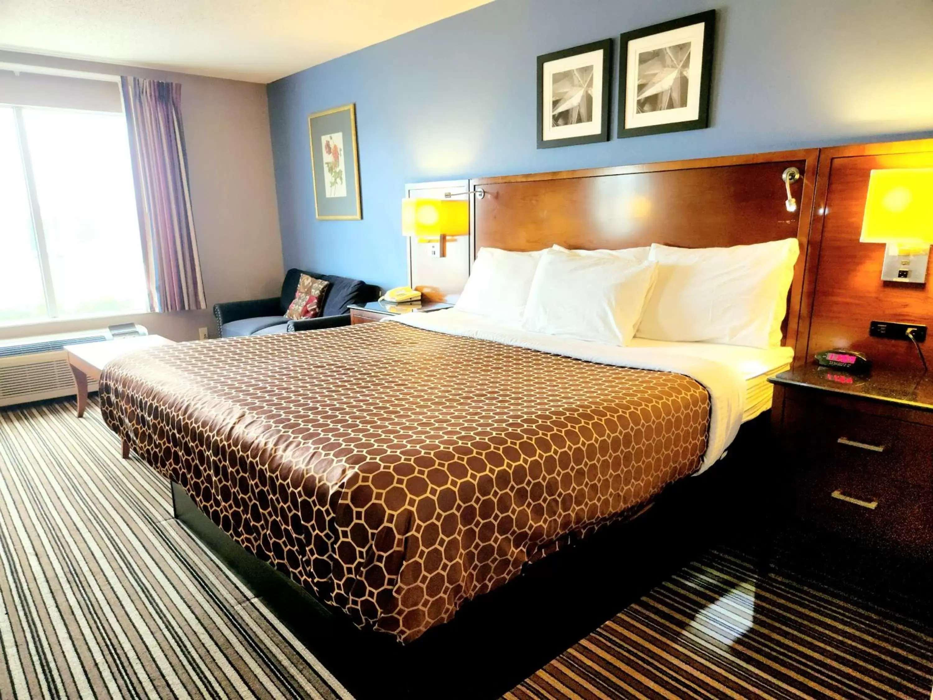 Bedroom, Bed in Americas Best Value Inn & Suites-Foley