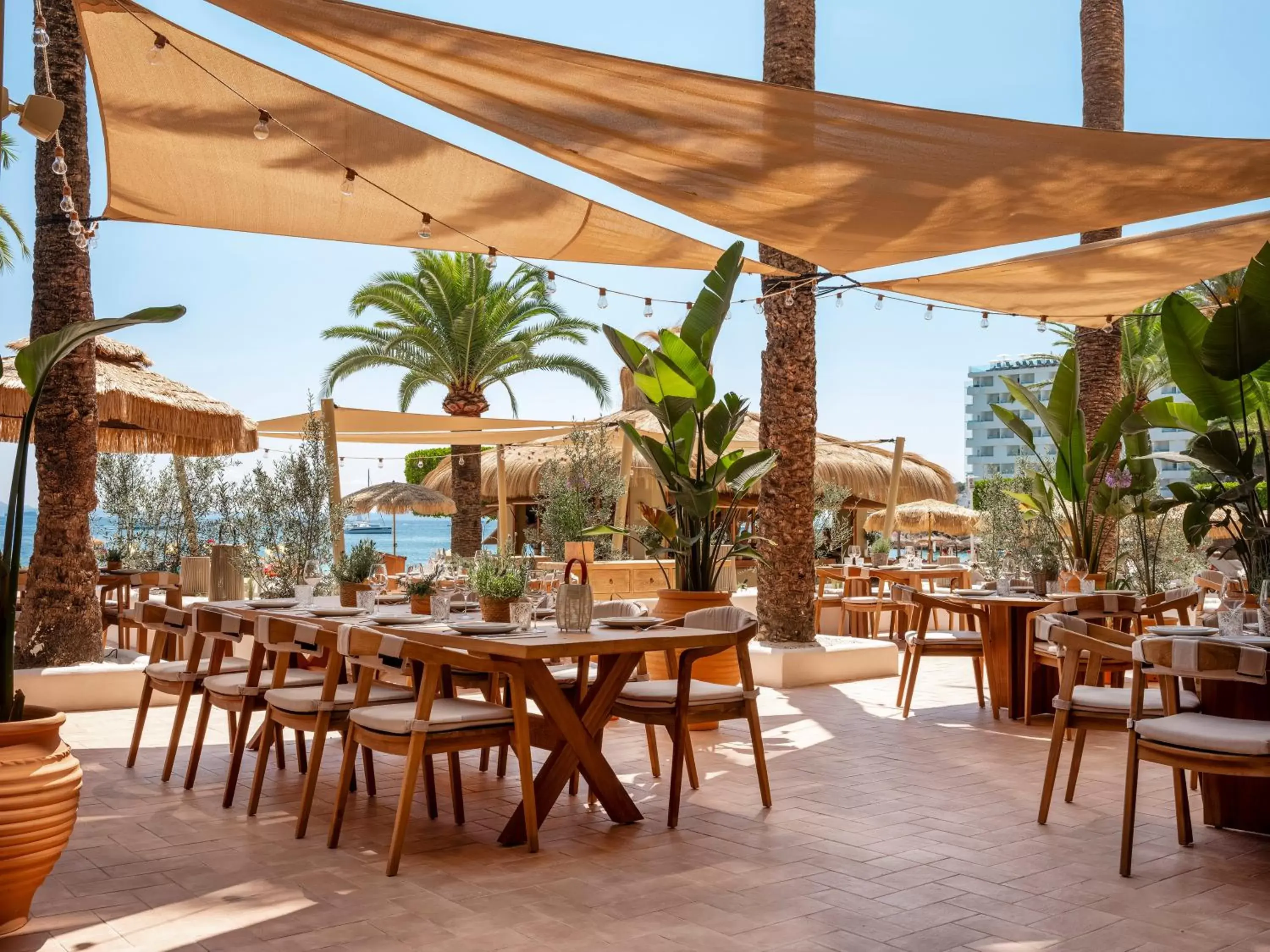 Patio, Restaurant/Places to Eat in Zel Mallorca