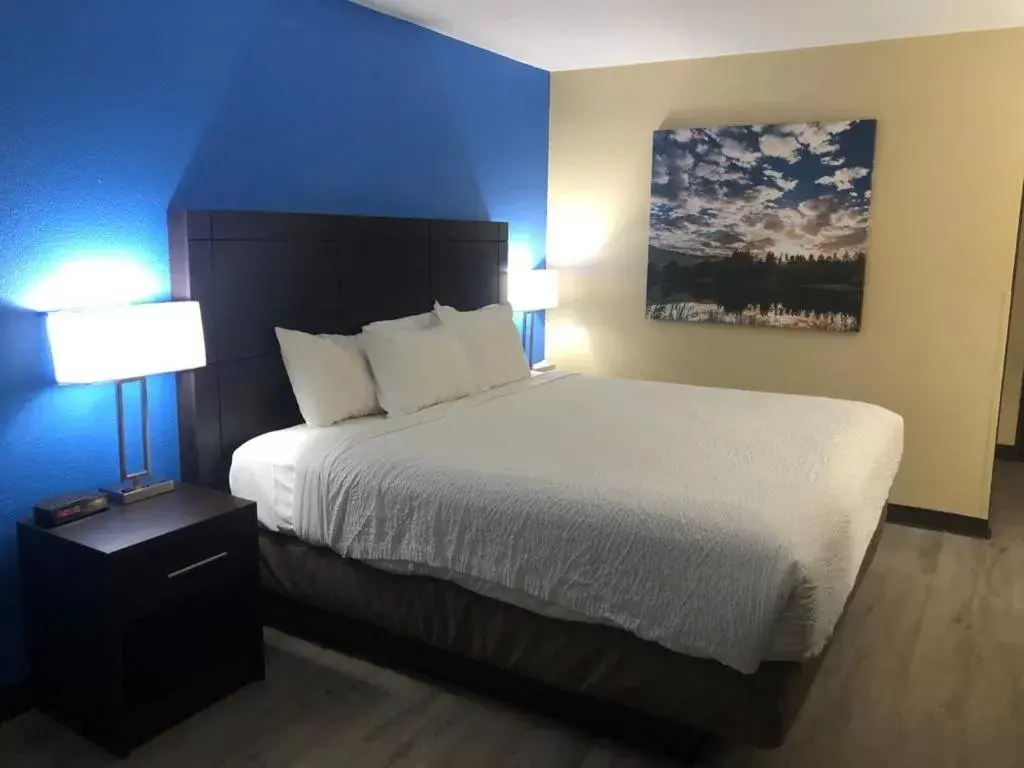 King Room- Non-Smoking in wallaceburg inn King Room- Non-Smoking in wallaceburg inn