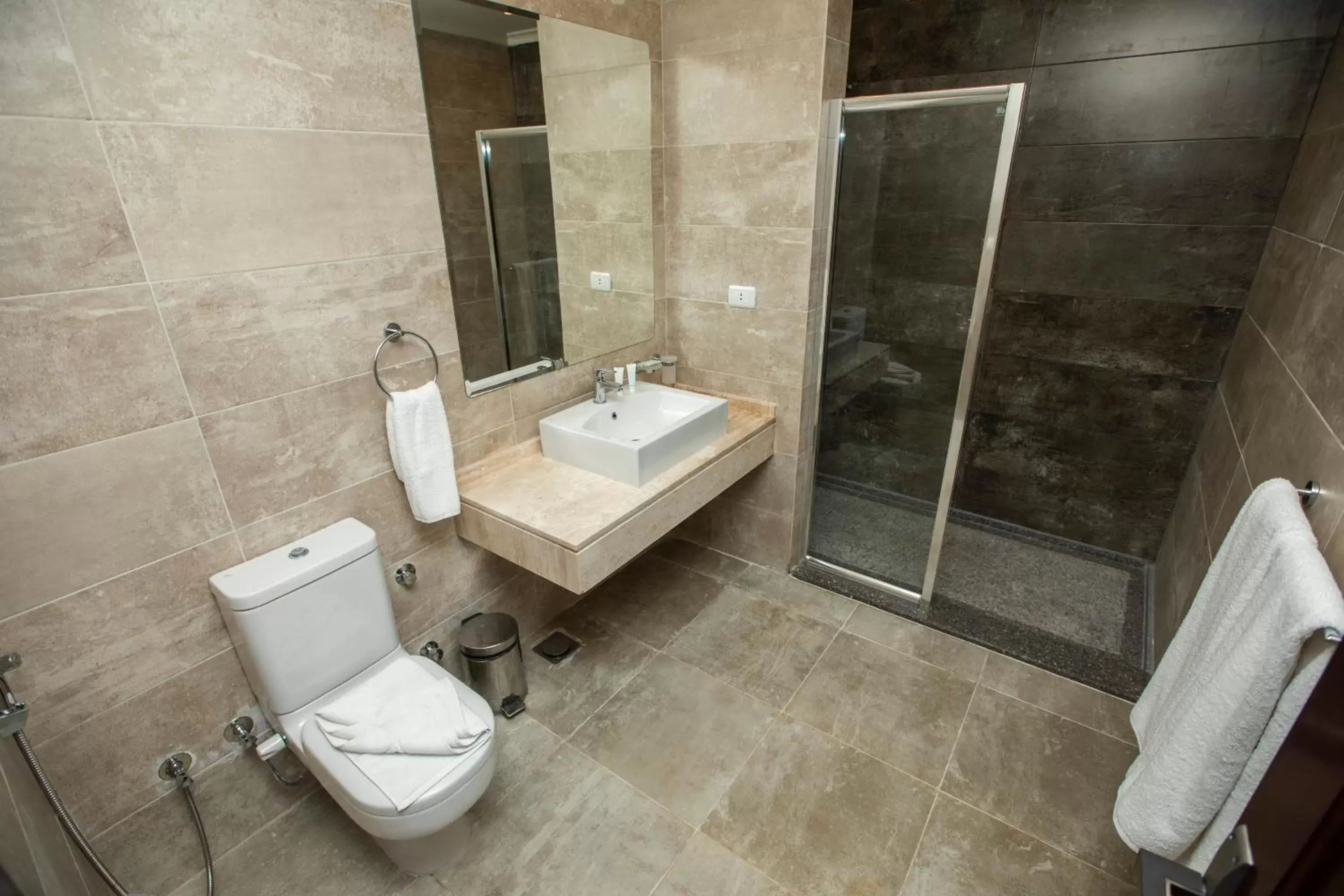 Shower, Bathroom in AIFU Hotel El Montazah Alexandria