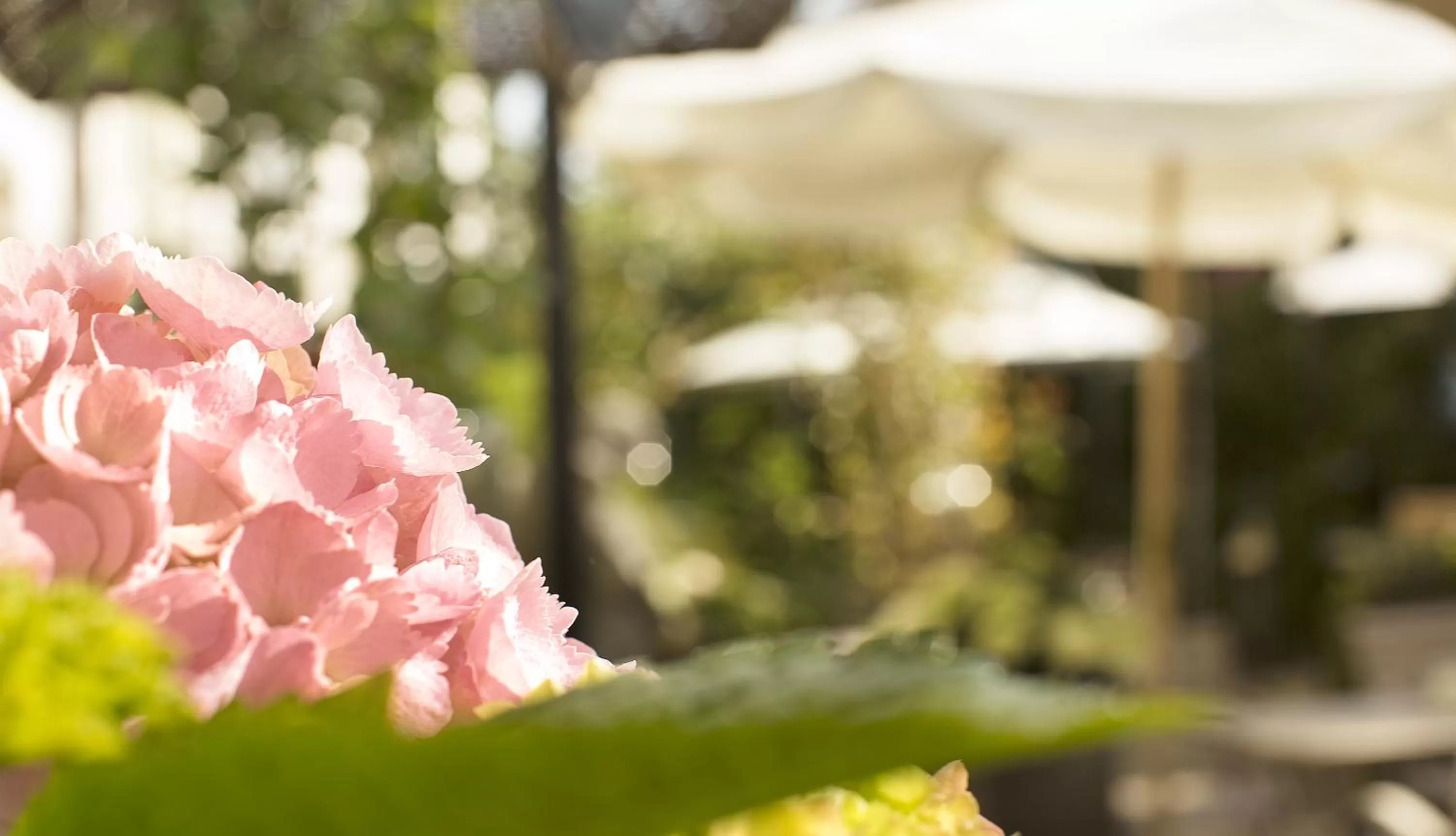 Spring in Höhen Hotel Viersen