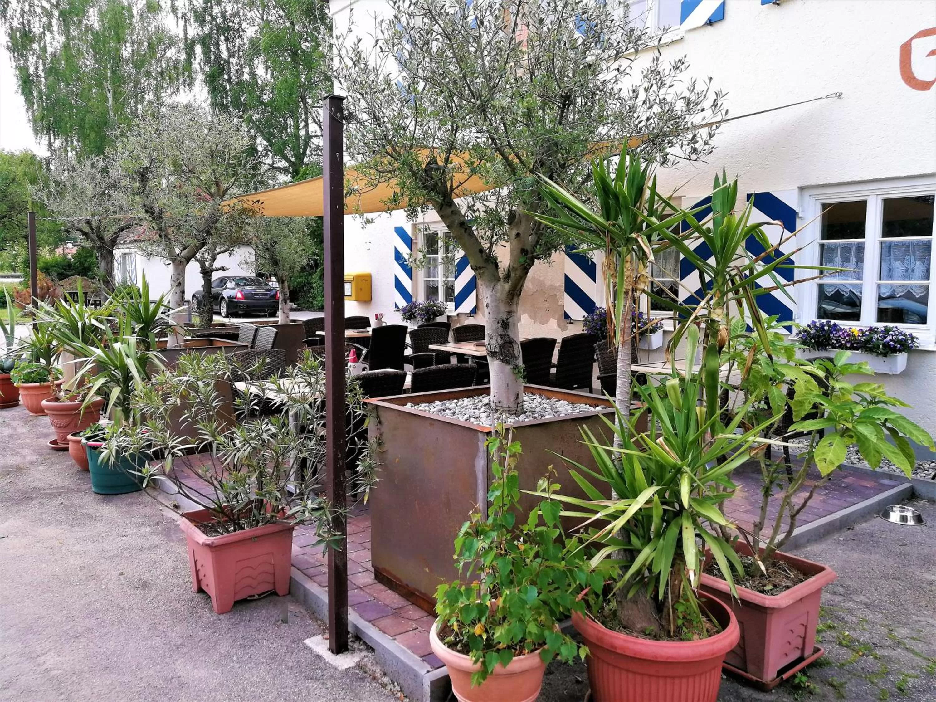 Area and facilities in Landhotel Römerkessel