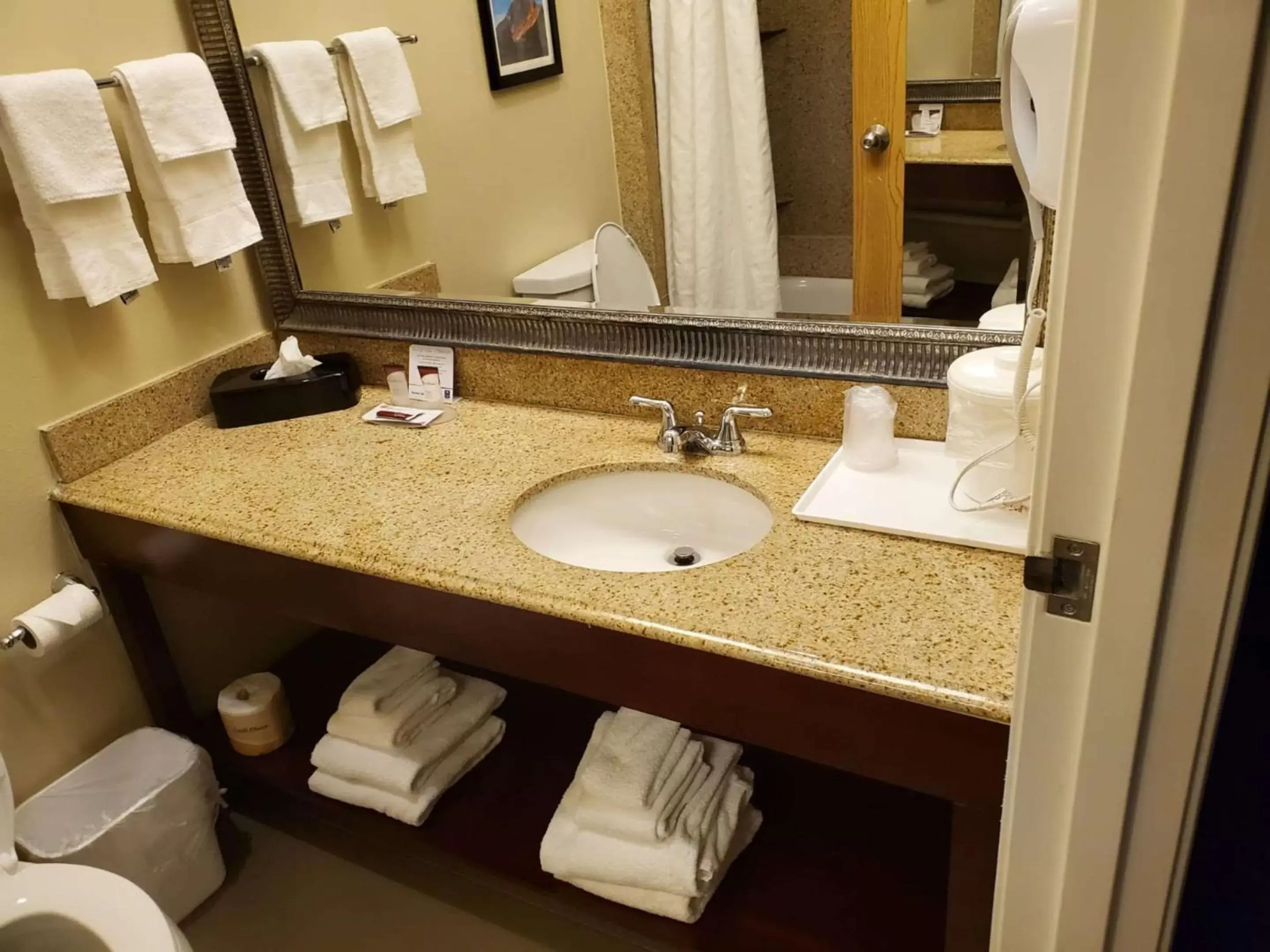 Bedroom, Bathroom in Comfort Inn & Suites Durango