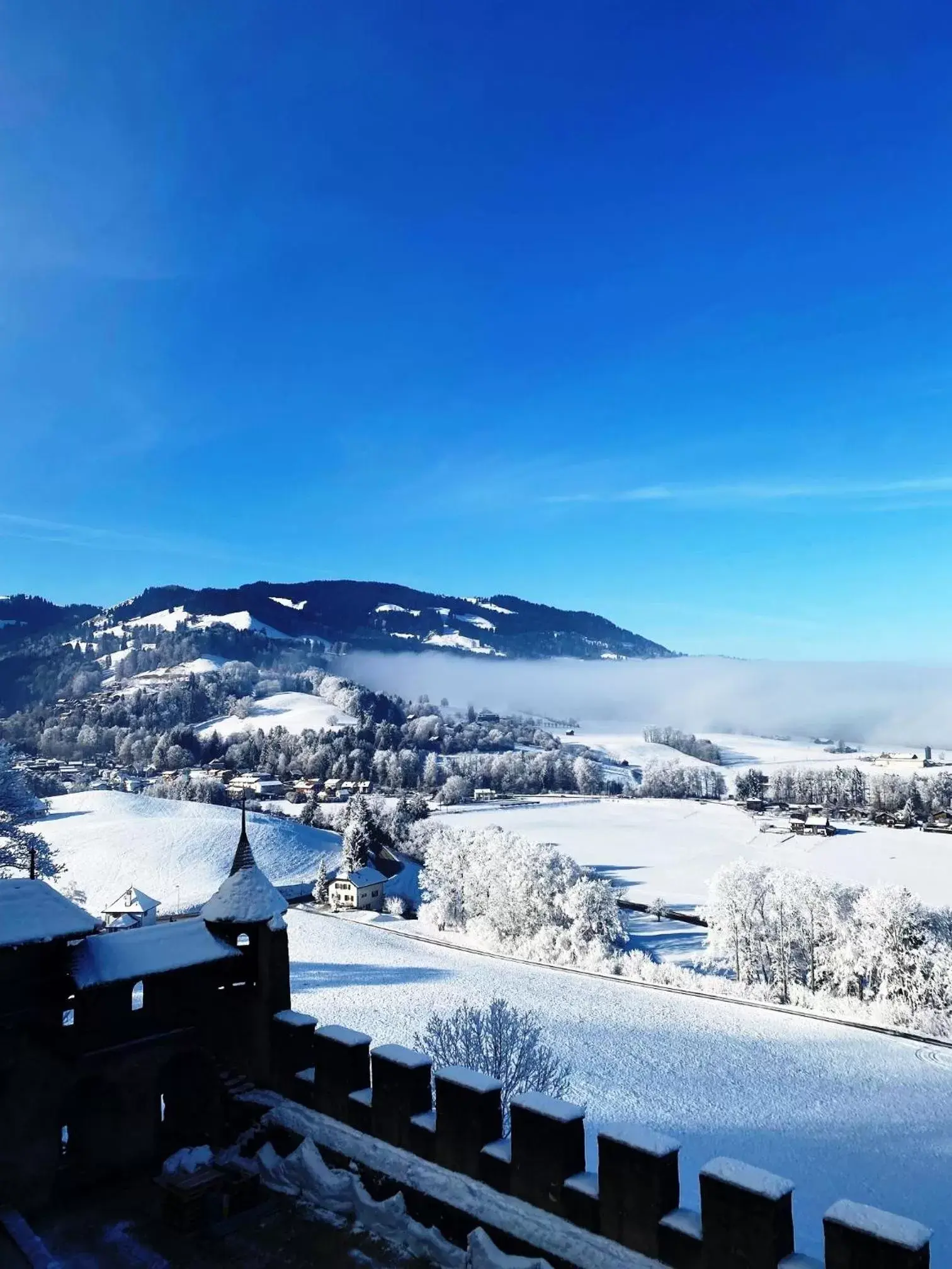 Natural landscape, Winter in Hôtel de Ville