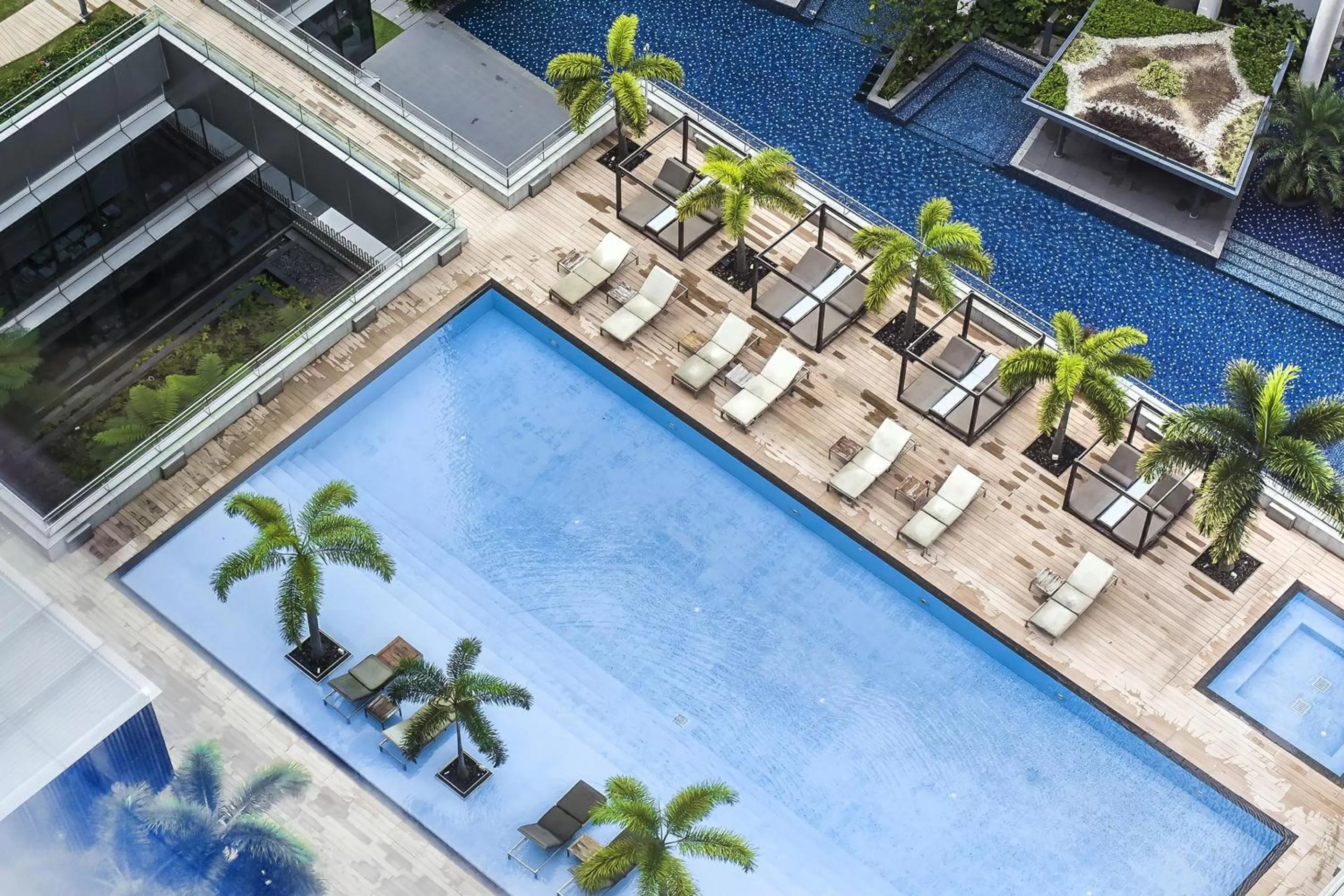 Swimming pool in Oasia Hotel Novena, Singapore by Far East Hospitality