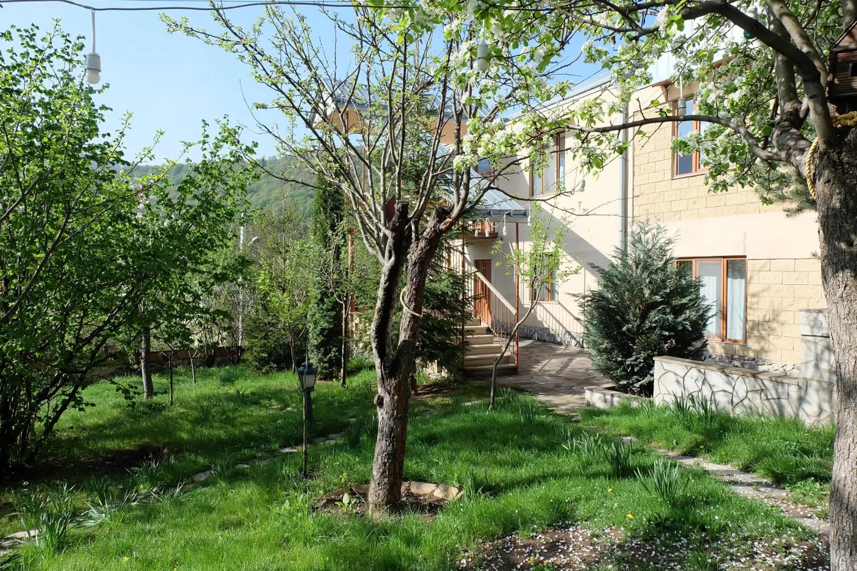 Property building in Dil Hill by Sam