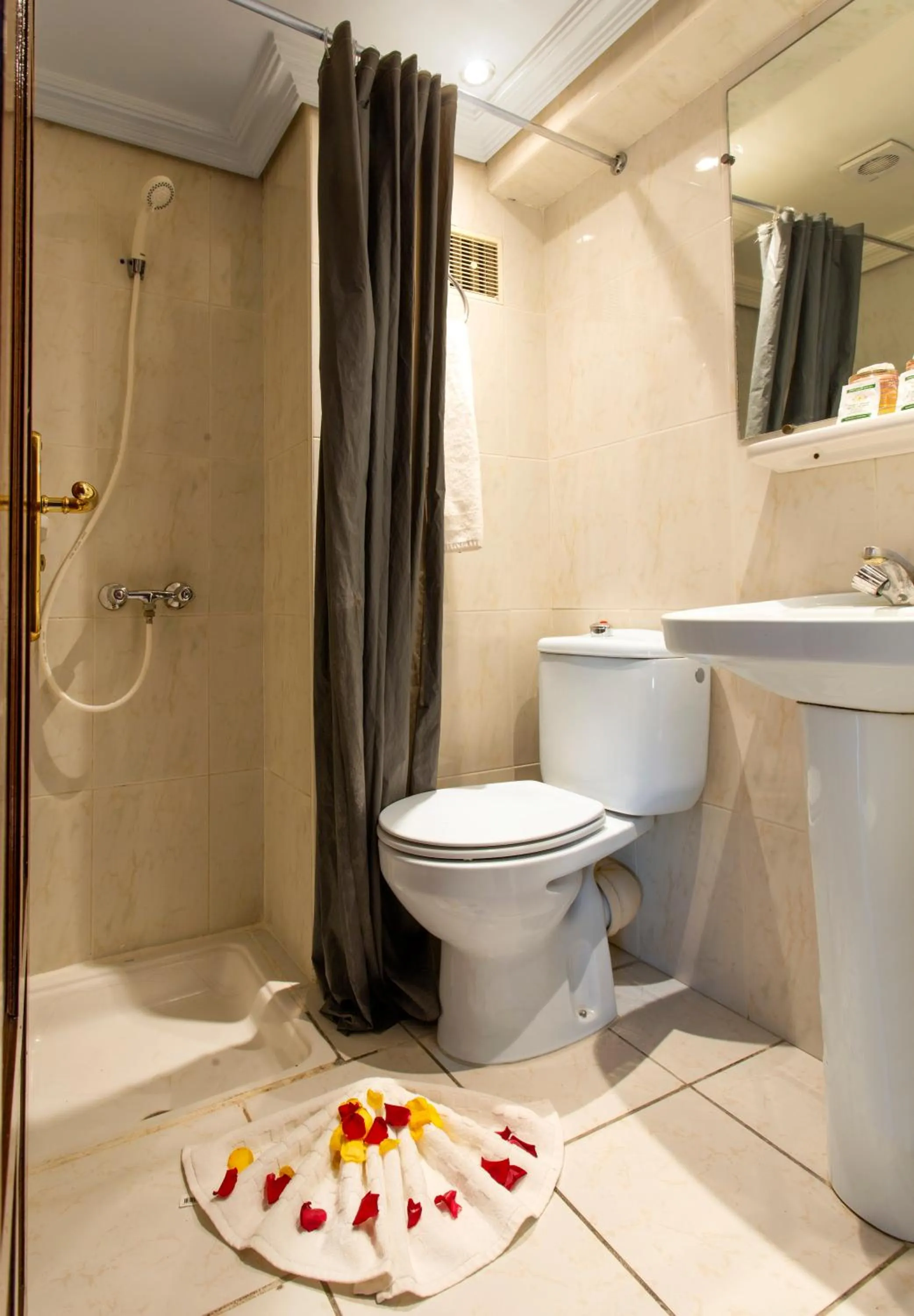 Bathroom in Hotel Akabar