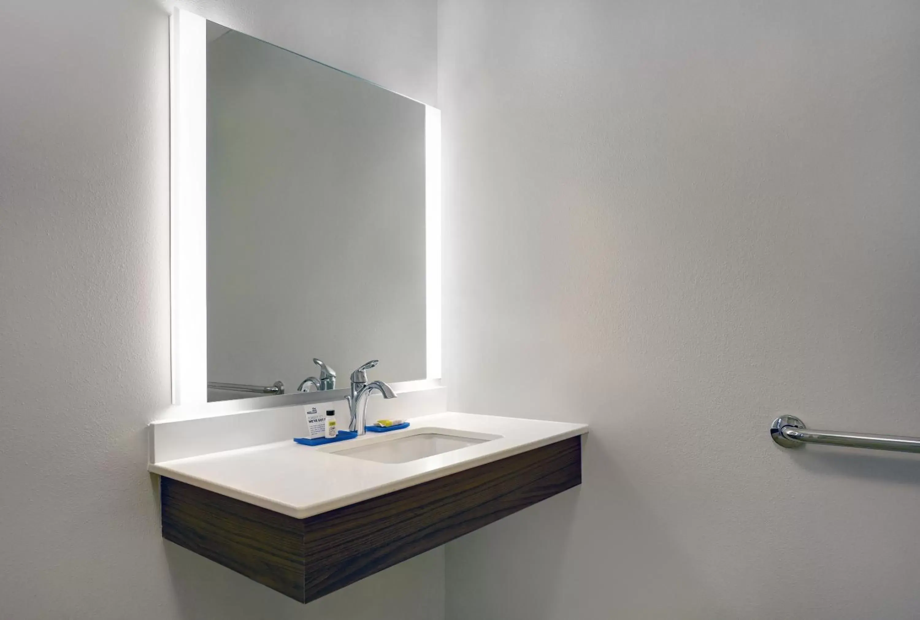 Photo of the whole room, Bathroom in Holiday Inn Express & Suites - Lenexa - Overland Park Area, an IHG Hotel