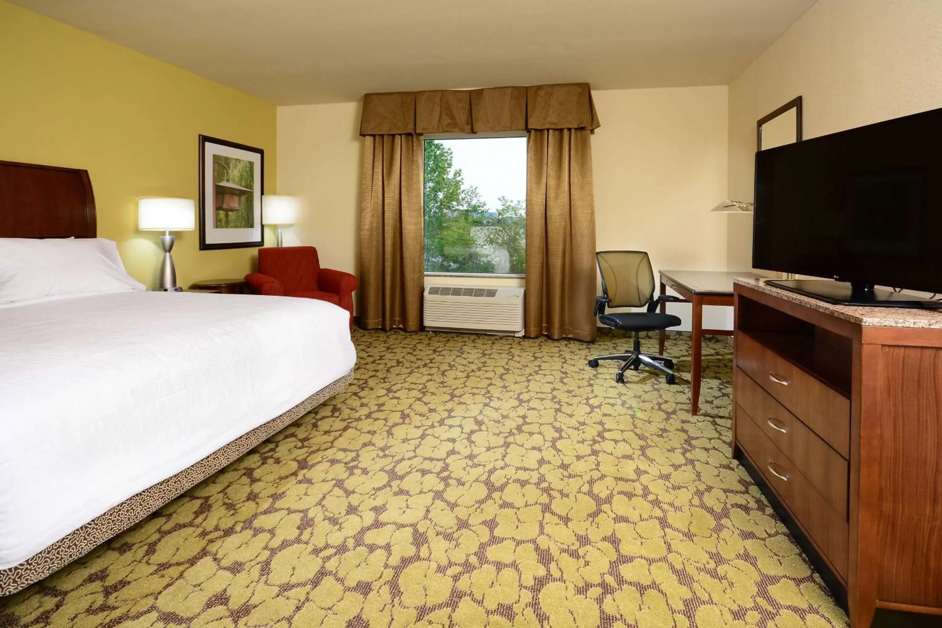 Bedroom, TV/Entertainment Center in Hilton Garden Inn Greensboro Airport
