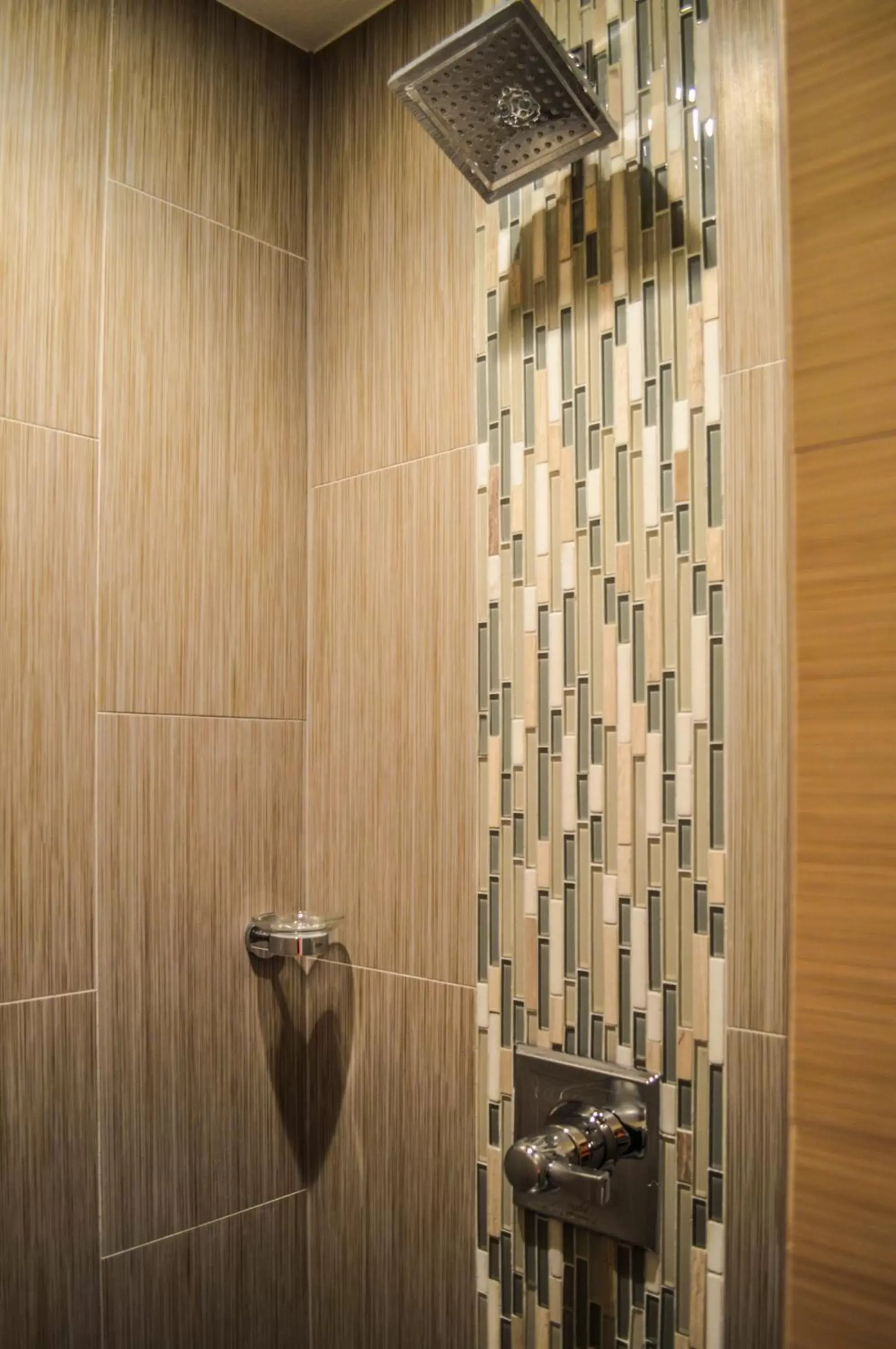 Shower, Bathroom in Rio Vista Inn & Suites Santa Cruz