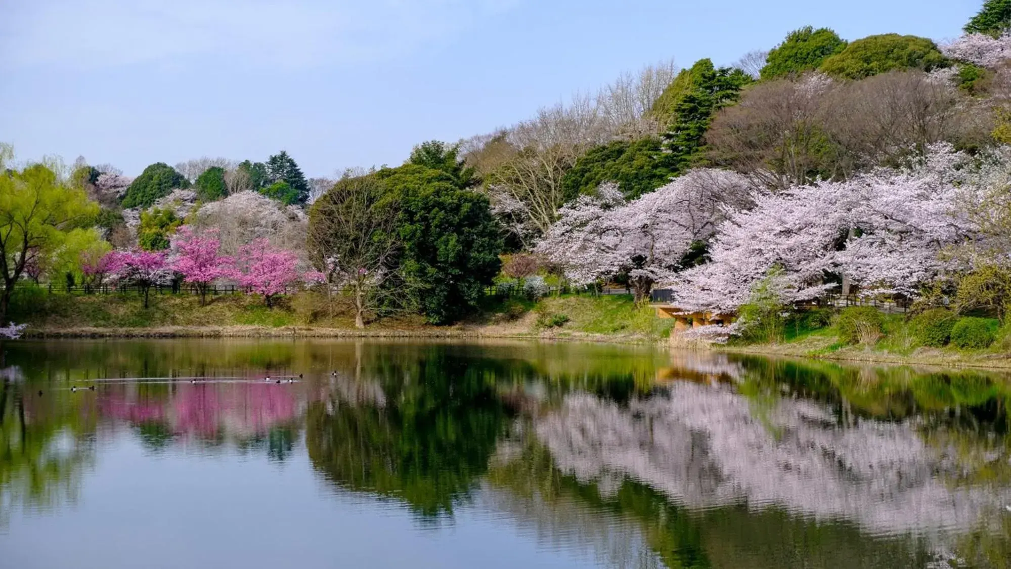 Nearby landmark, Natural Landscape in Toyoko Inn Yokohama Tsurumi eki Higashi guchi