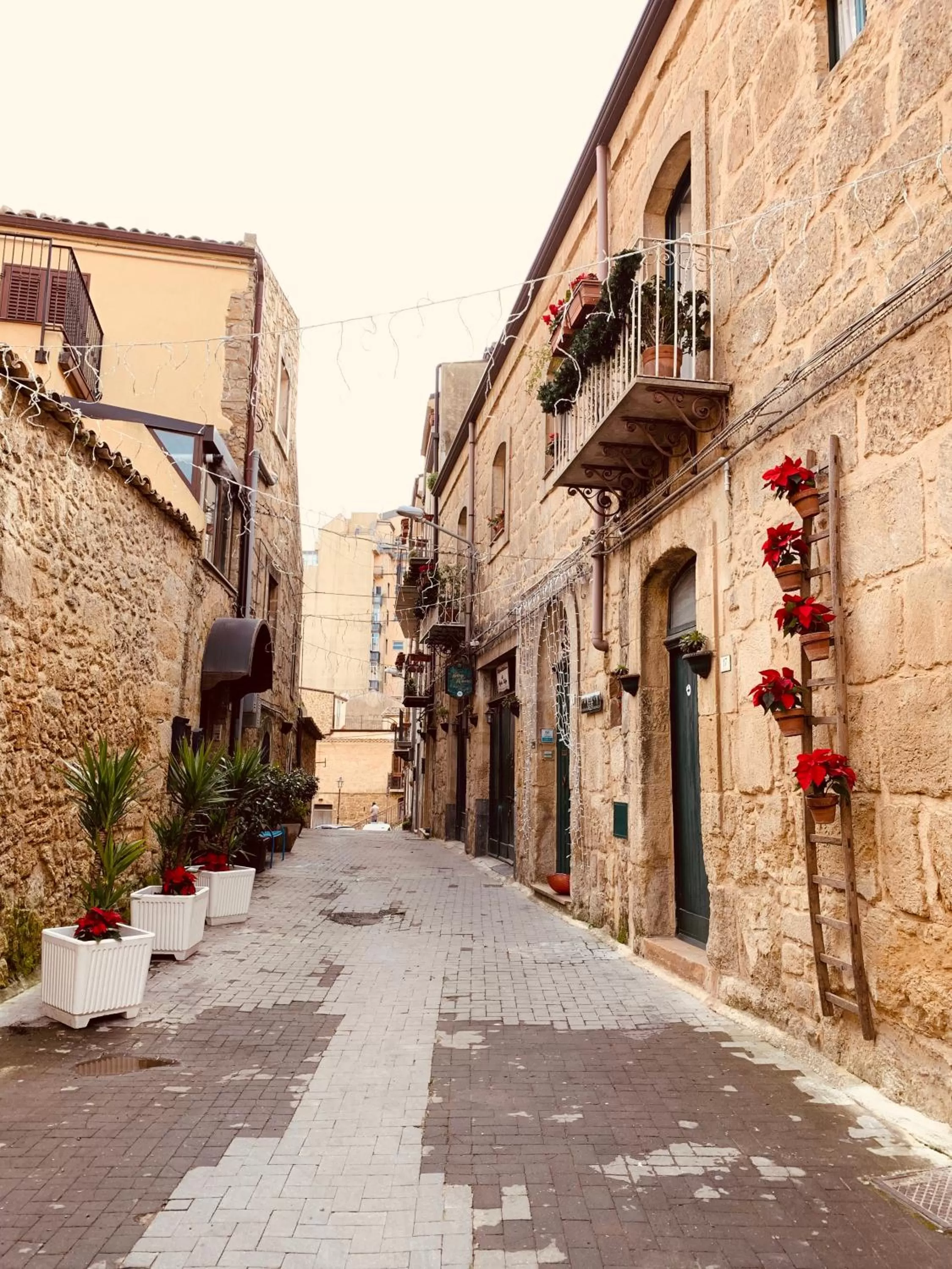 Neighbourhood in Bianko EcoChic & L'Angolo di Levante