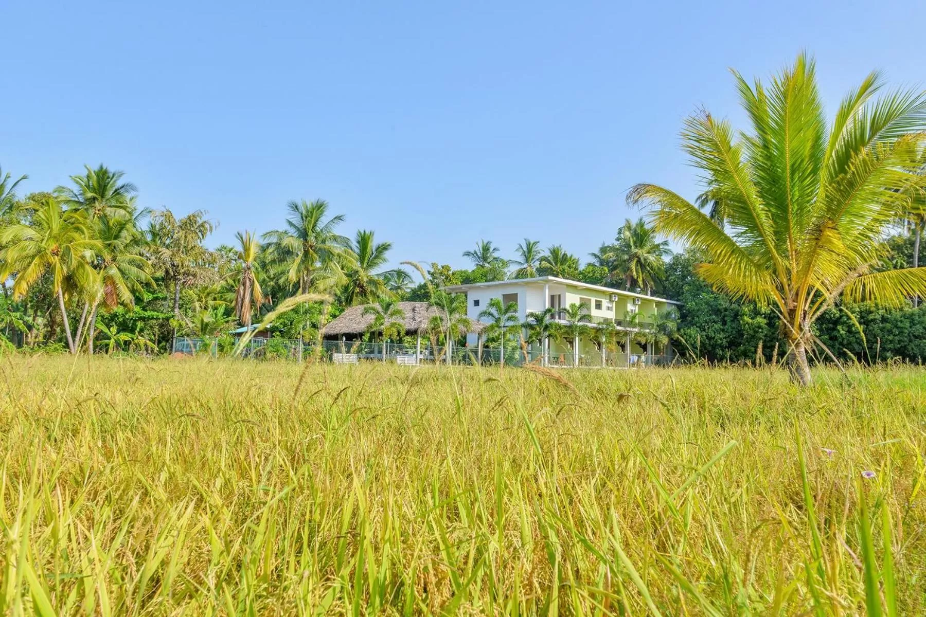 Bird's eye view in Hotel Ancient Village