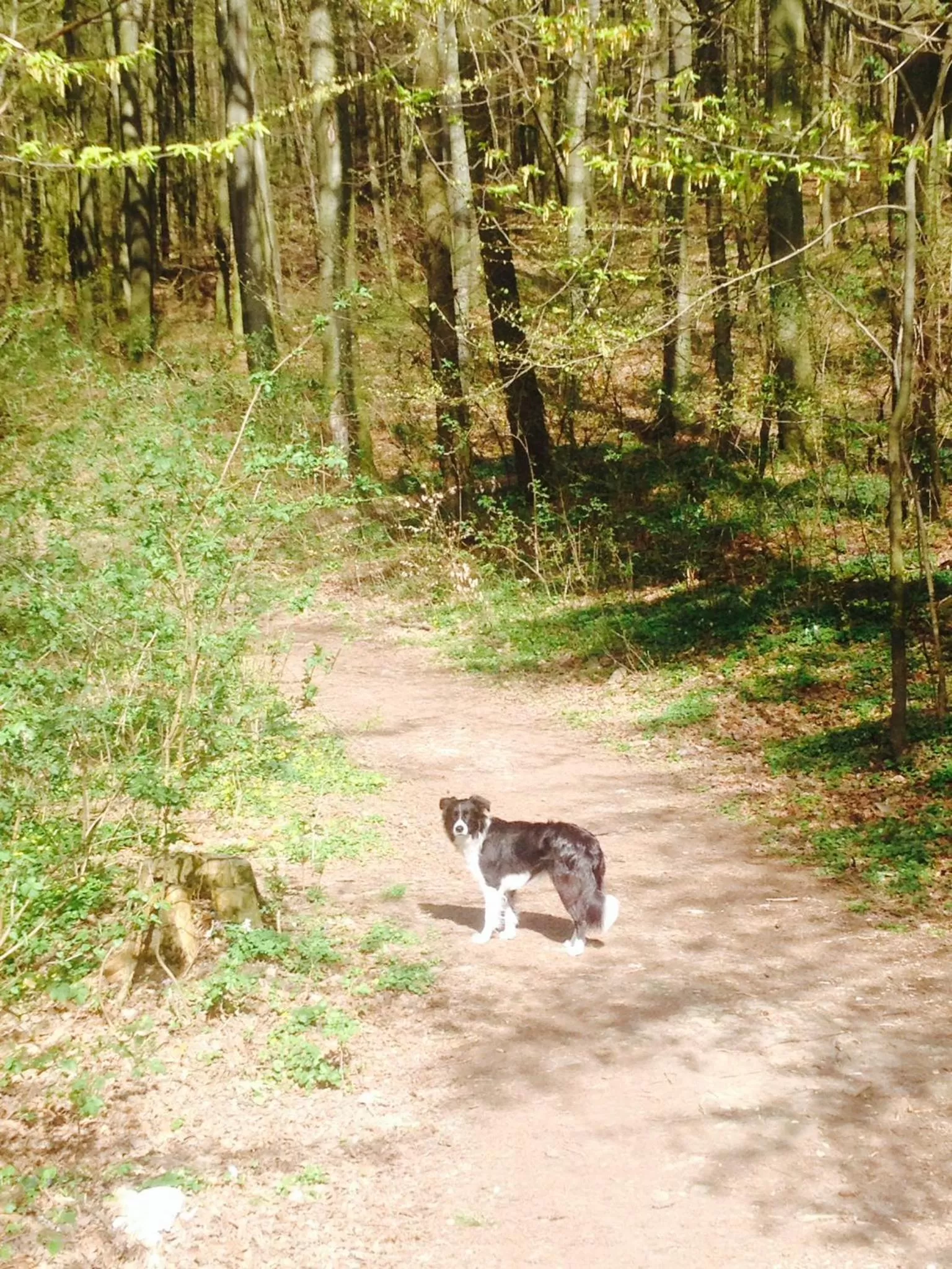 Neighbourhood in Hotel West