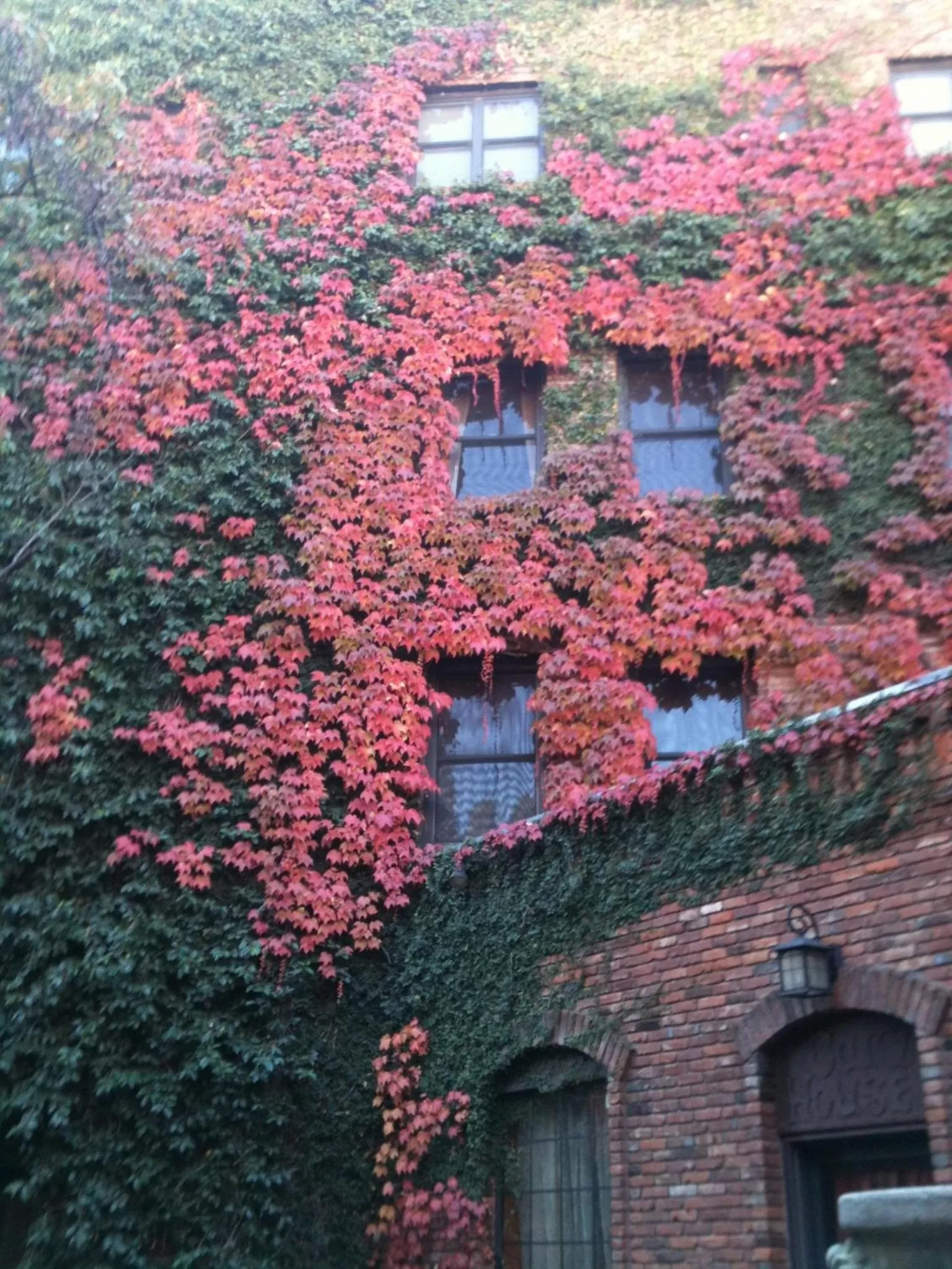 Balcony/Terrace in Historic Cary House Hotel