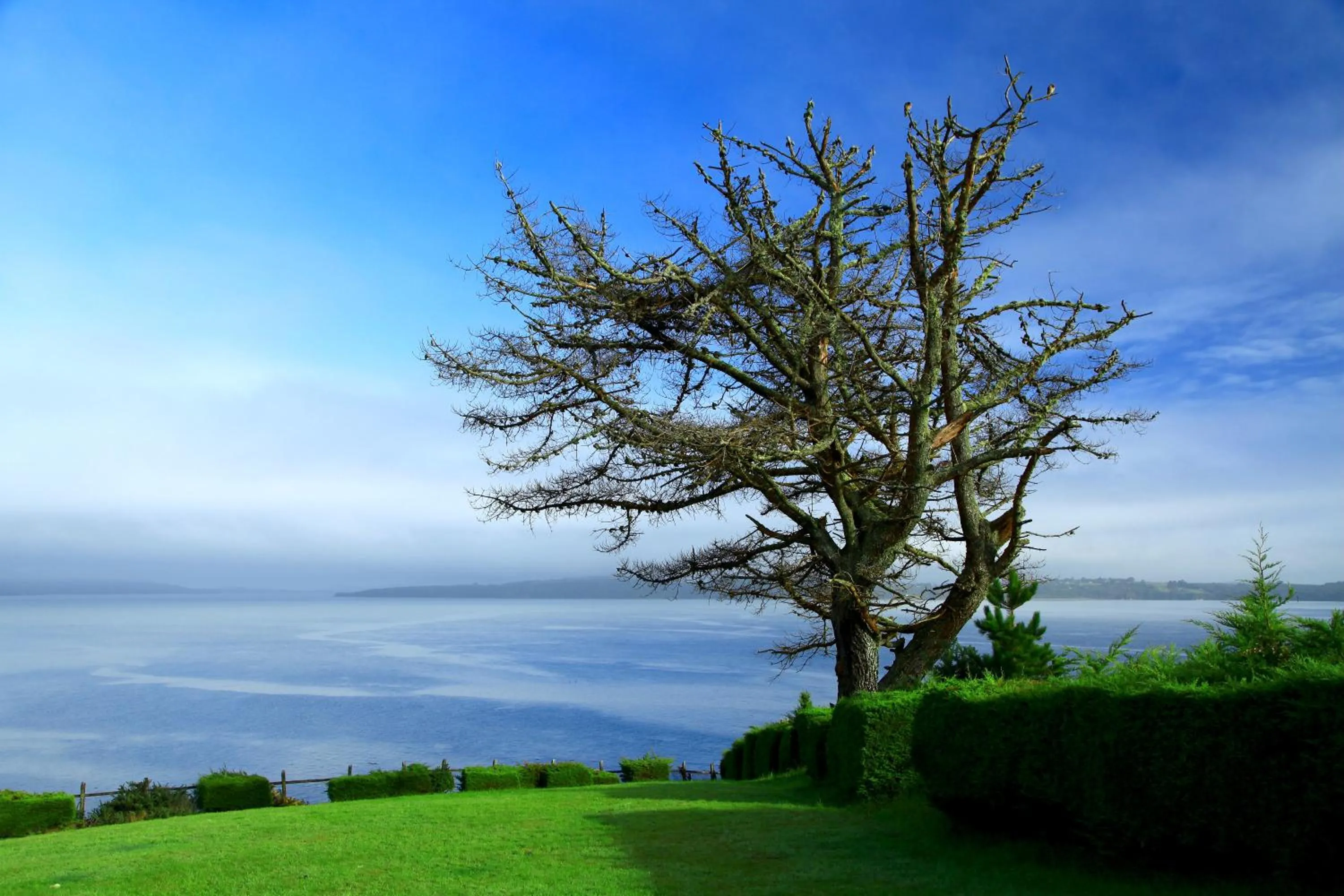 Natural landscape in Panamericana Hotel Ancud