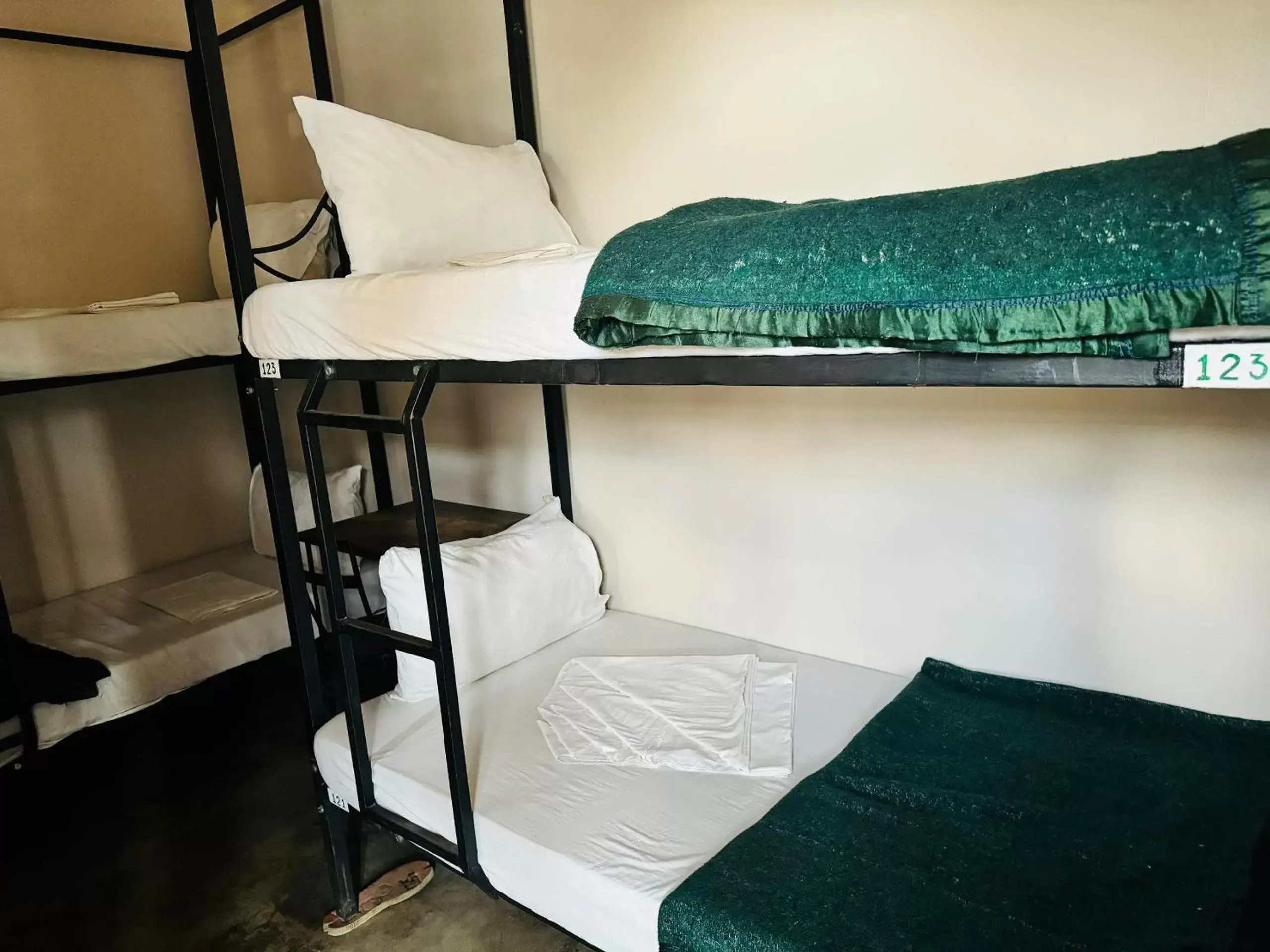 Bed, Bunk Bed in Arusha Backpackers Hotel