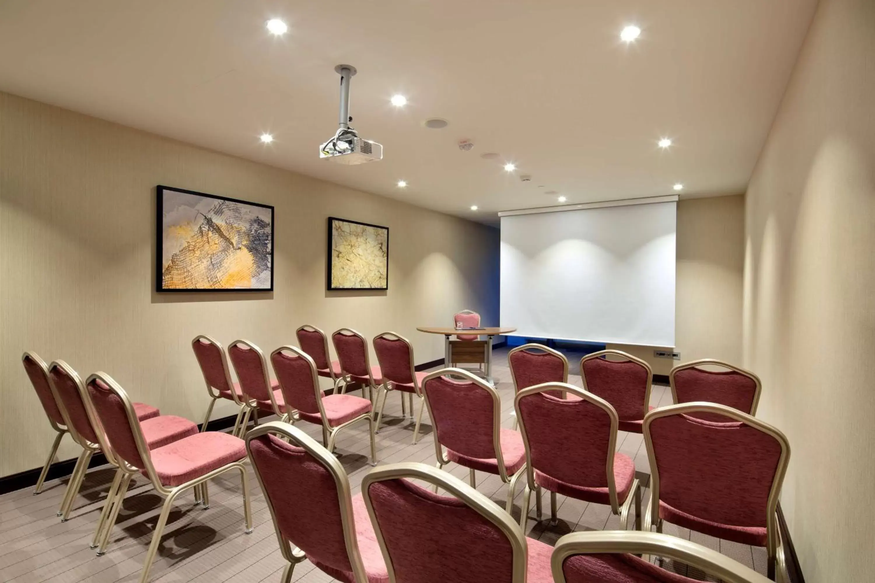 Meeting/conference room in Hilton Batumi