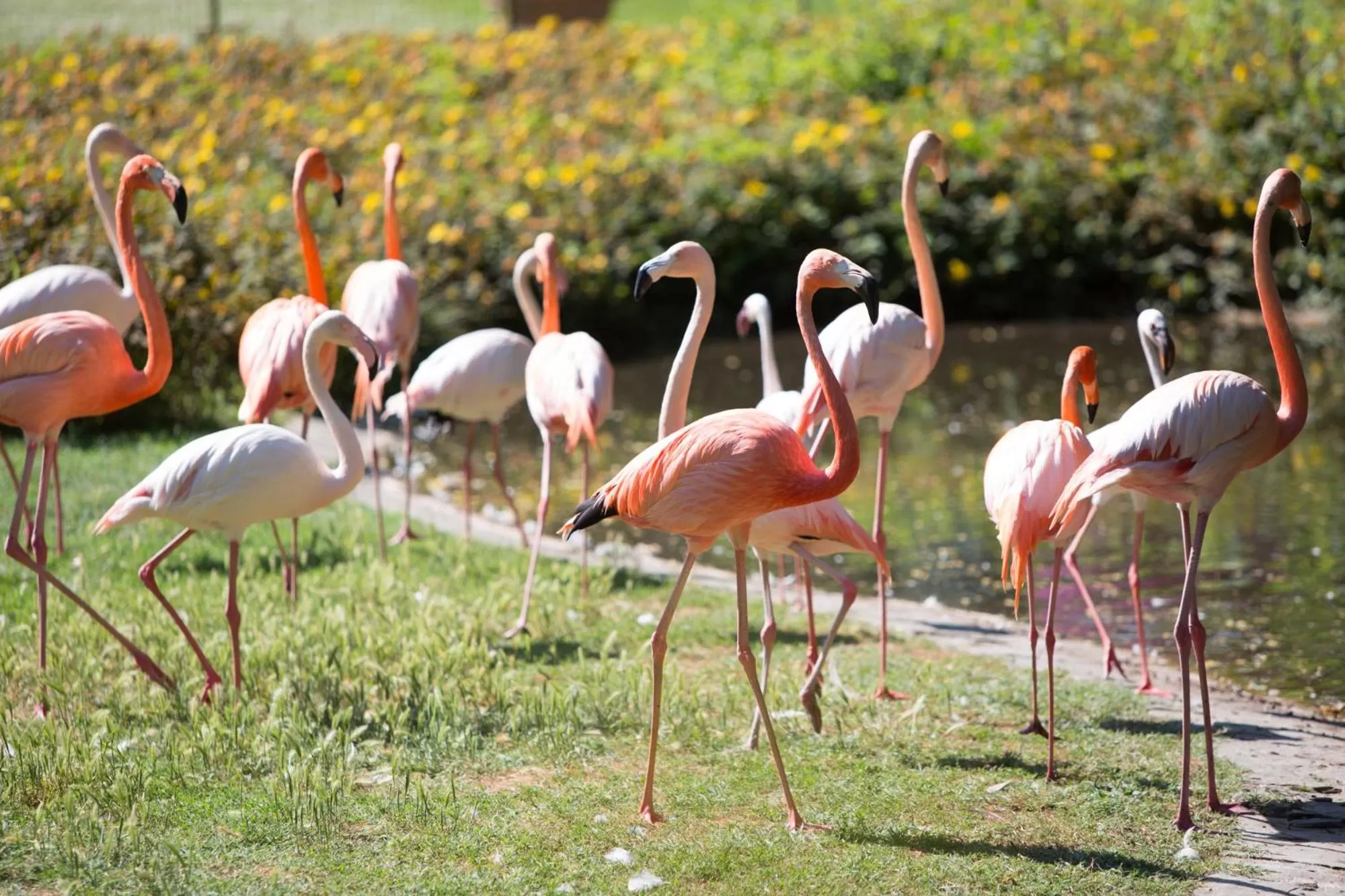 Day in Villa Abbondanzi Resort