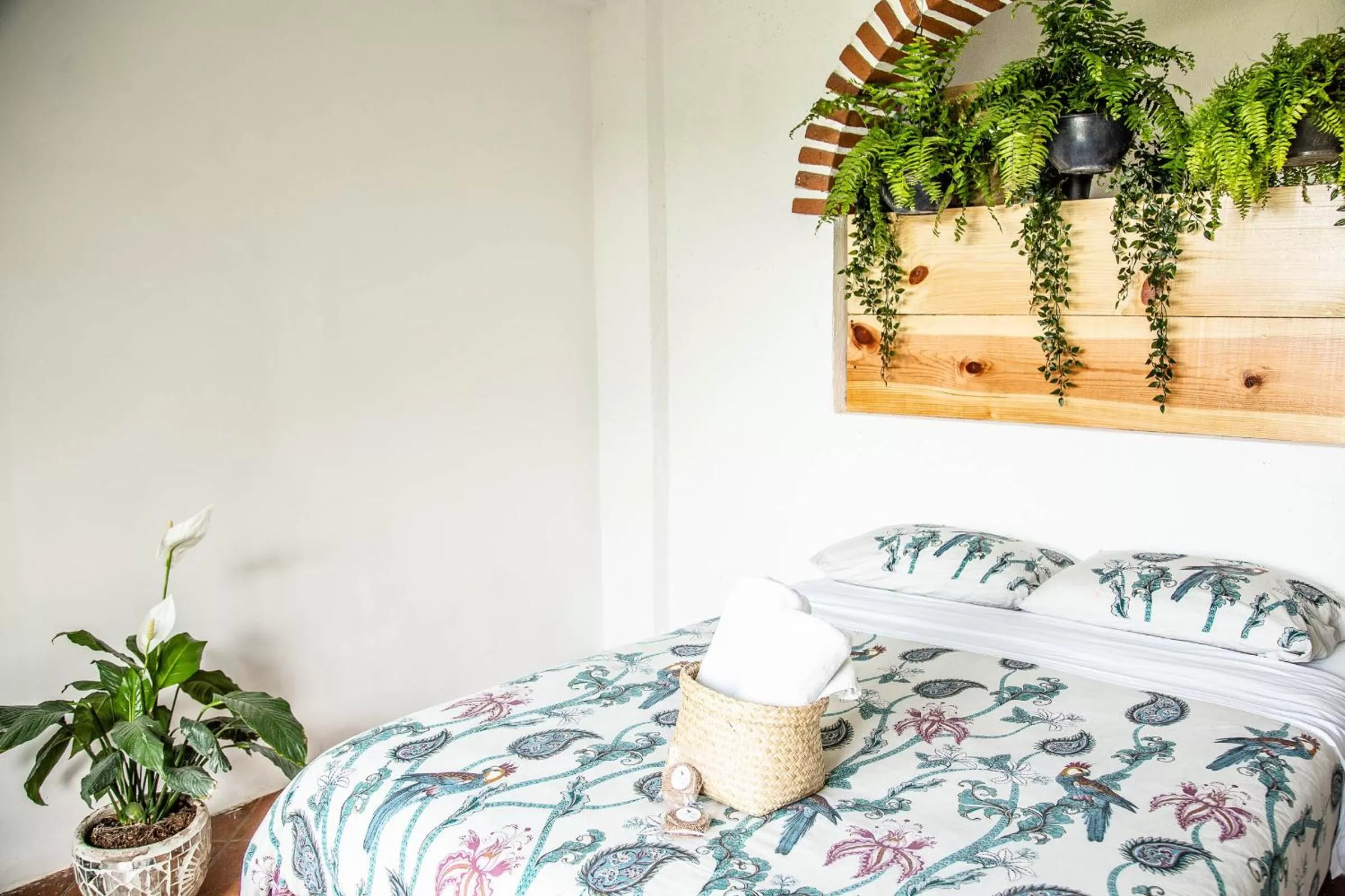 Photo of the whole room, Bed in Colibrí Turquesa