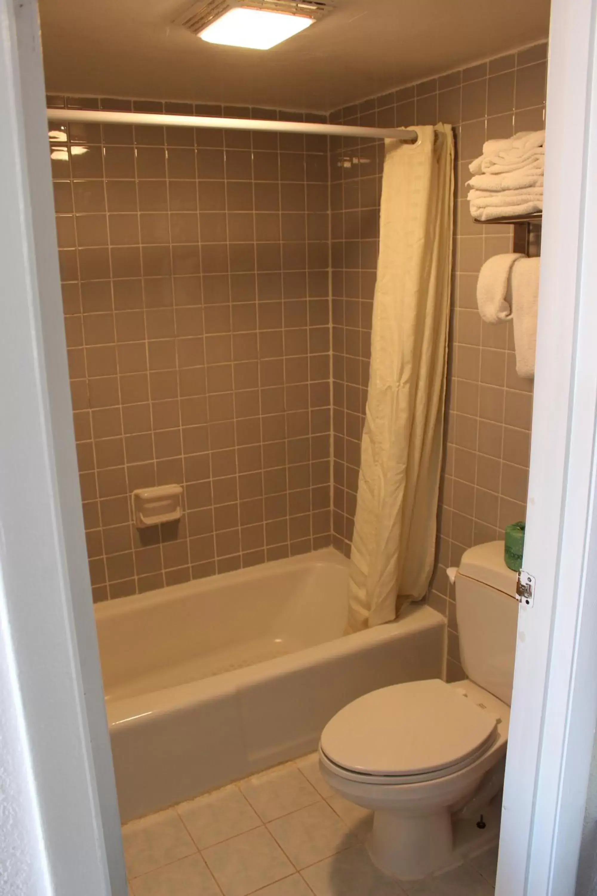 Shower, Bathroom in Americas Best Value Inn & Suites Williamstown