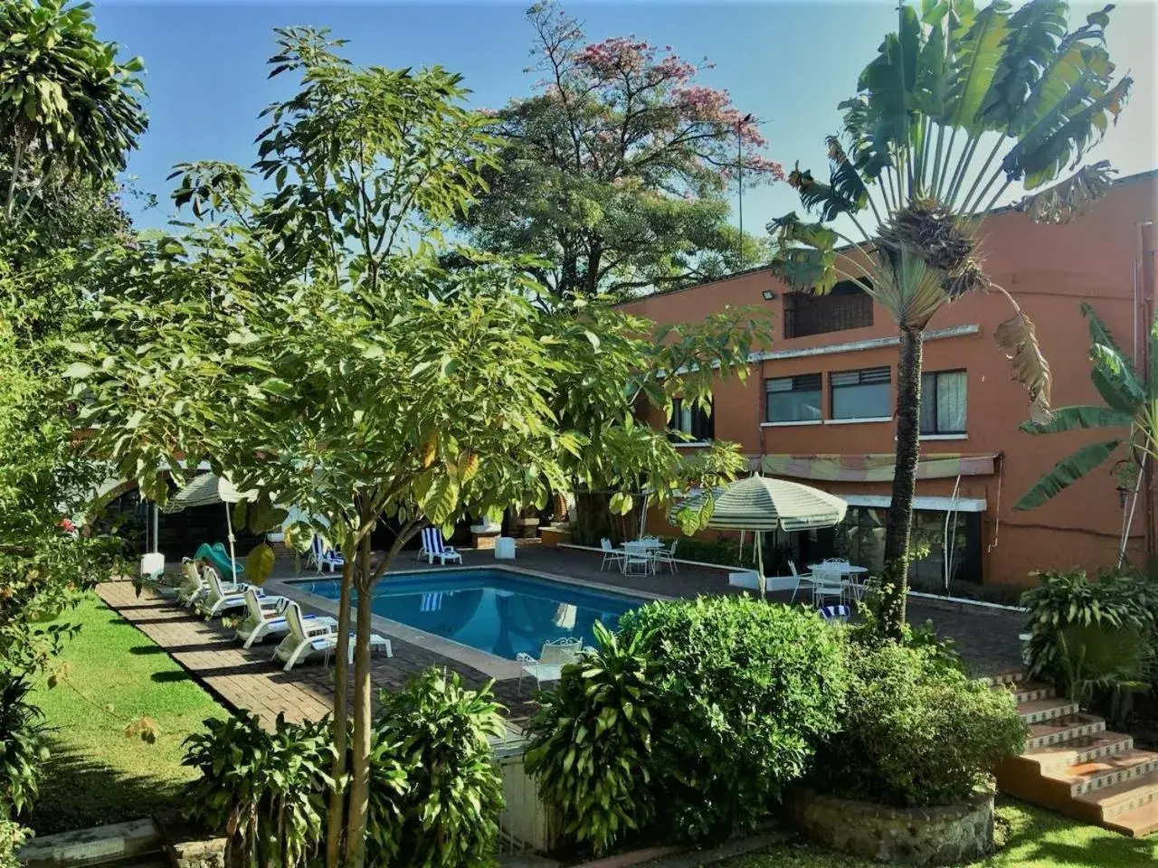 Garden view, Swimming Pool in San Angelo