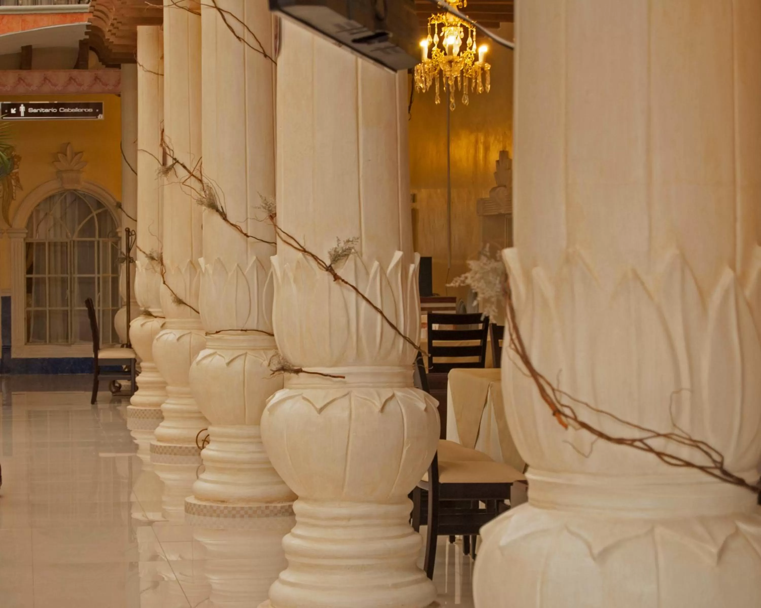 Area and facilities in Centro Hotel Villa las Margaritas