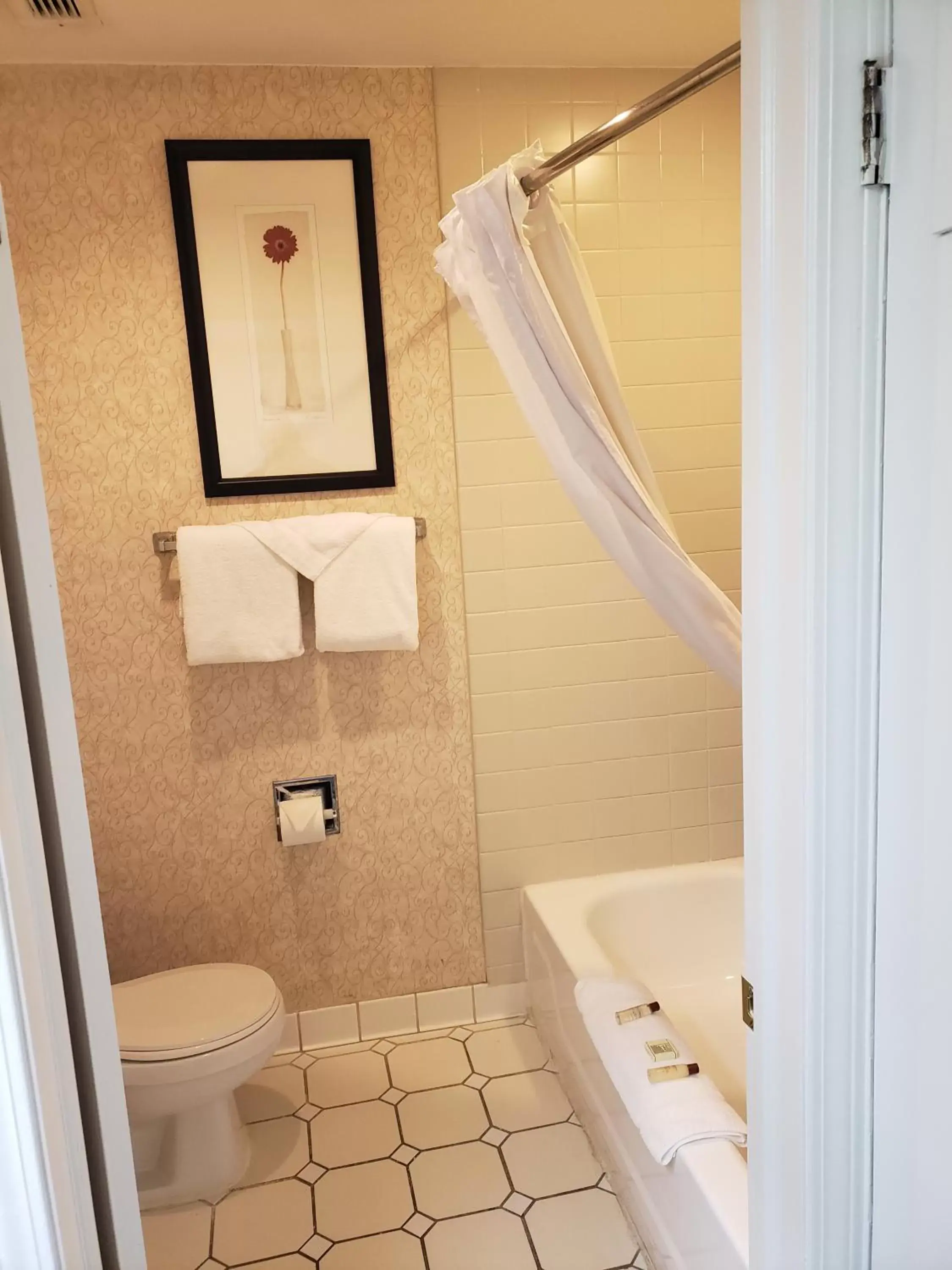 Bathroom in Affordable Suites of America Detroit-Warren
