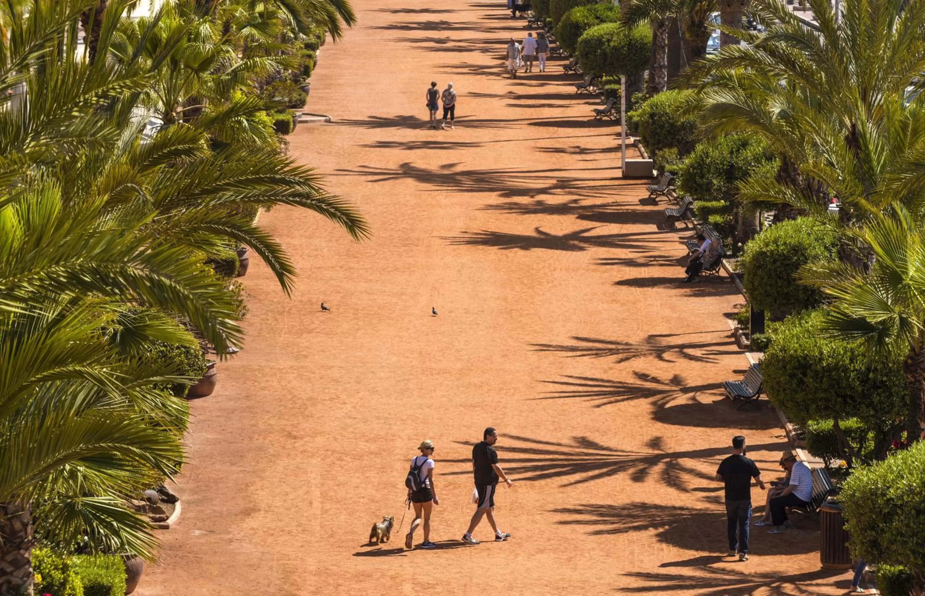 Bird's eye view in Hotel Marsol