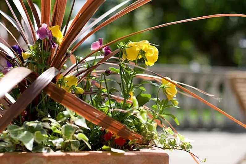 Facade/entrance in Warren Lodge