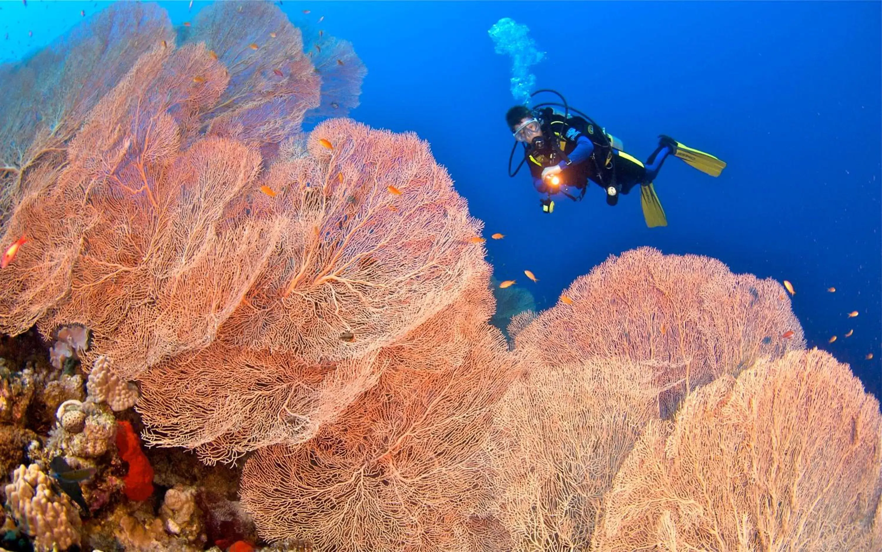 Snorkeling in Amarina Abu Soma Resort & Aquapark