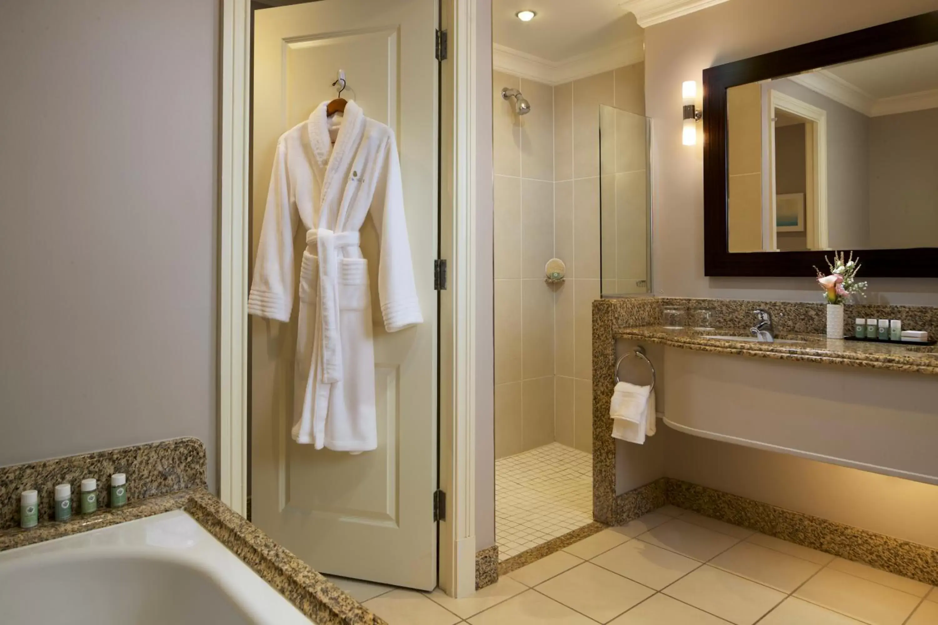 Bathroom in Lyrath Estate