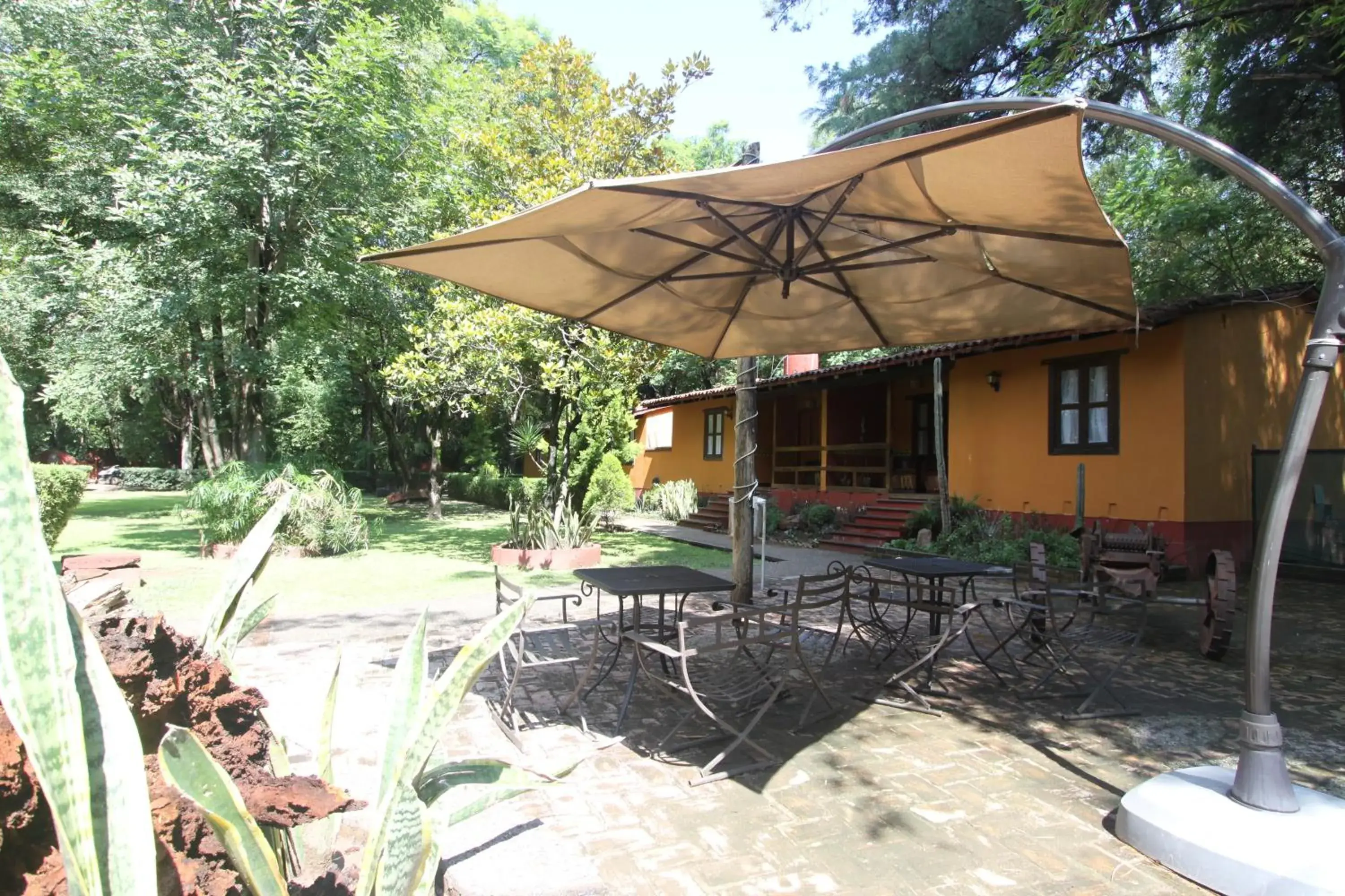 Garden, Property Building in El Marques Hacienda