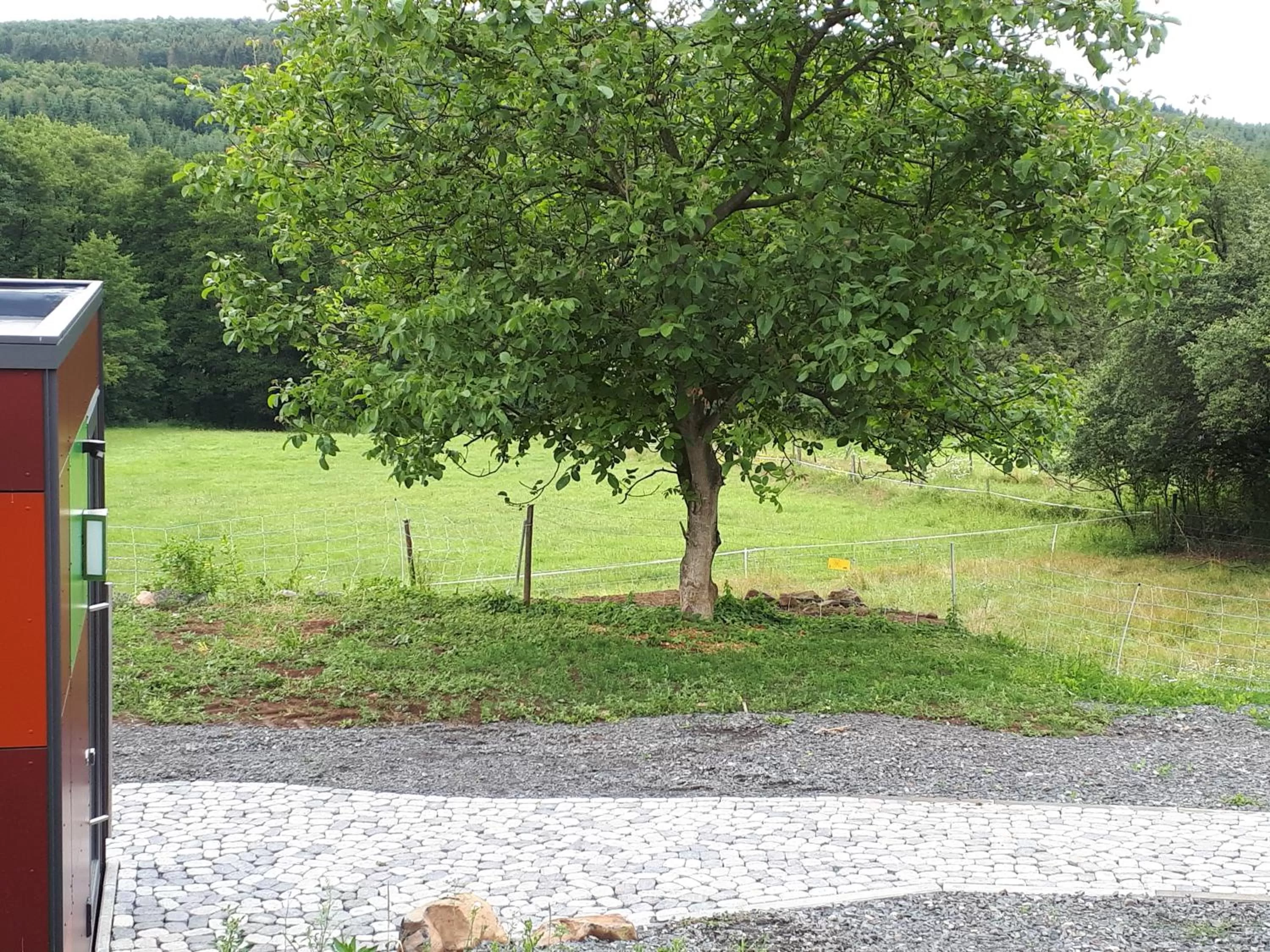 Natural landscape in kleinHOTEL Steinau-Rabenstein GbR
