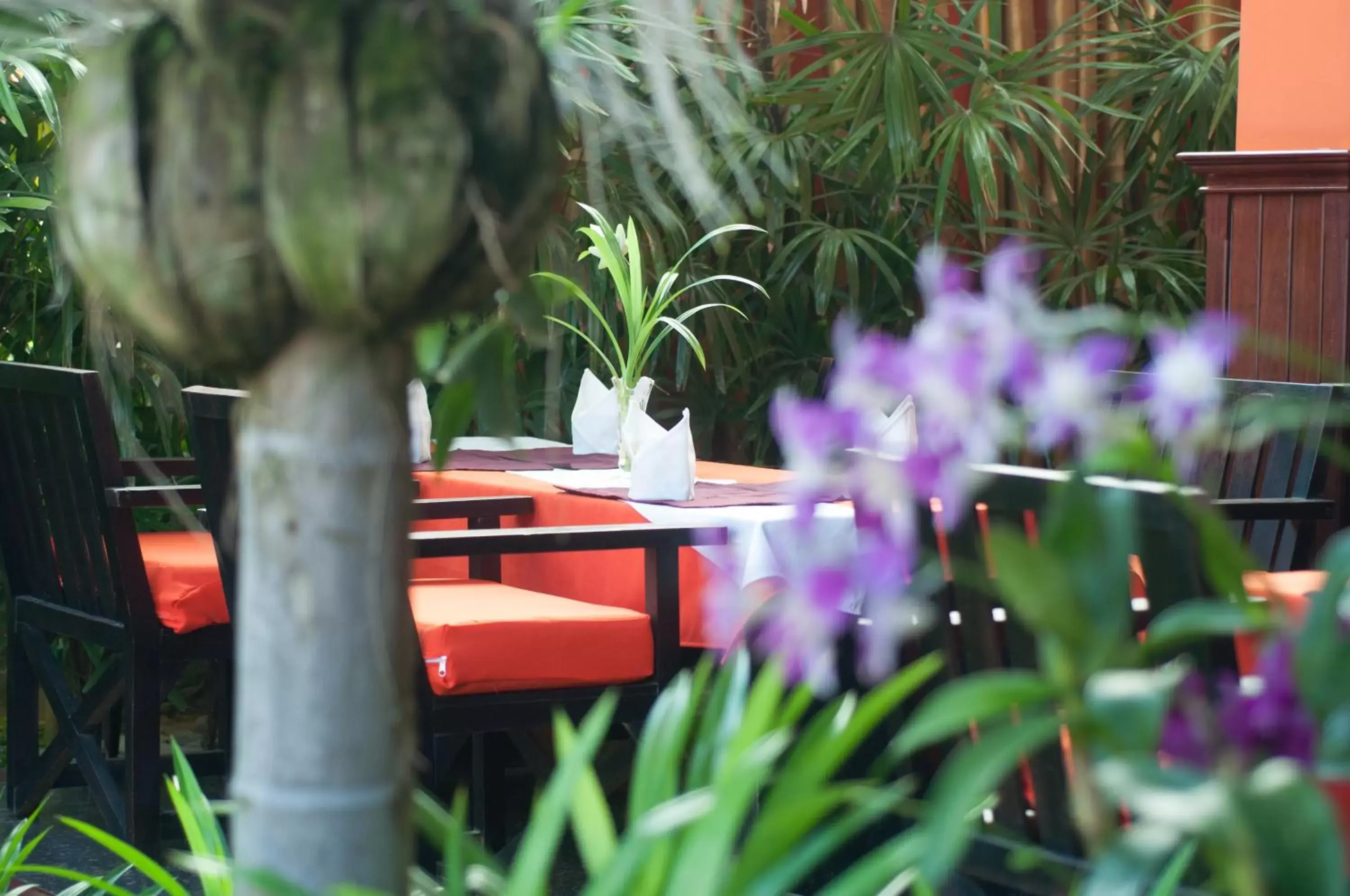 Balcony/Terrace in Golden Butterfly Villa