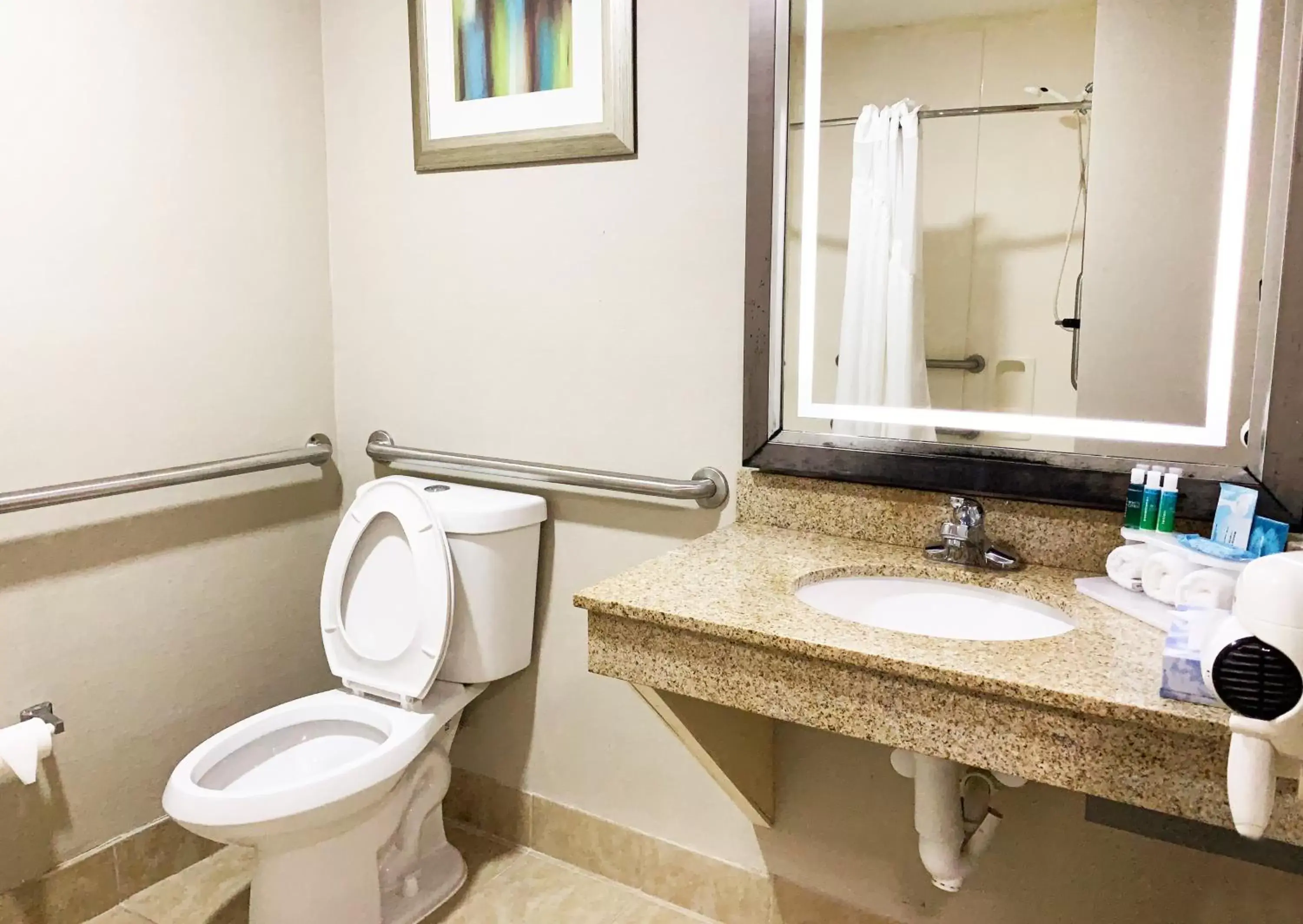 Photo of the whole room, Bathroom in Holiday Inn Express Hotel & Suites Gainesville, an IHG Hotel